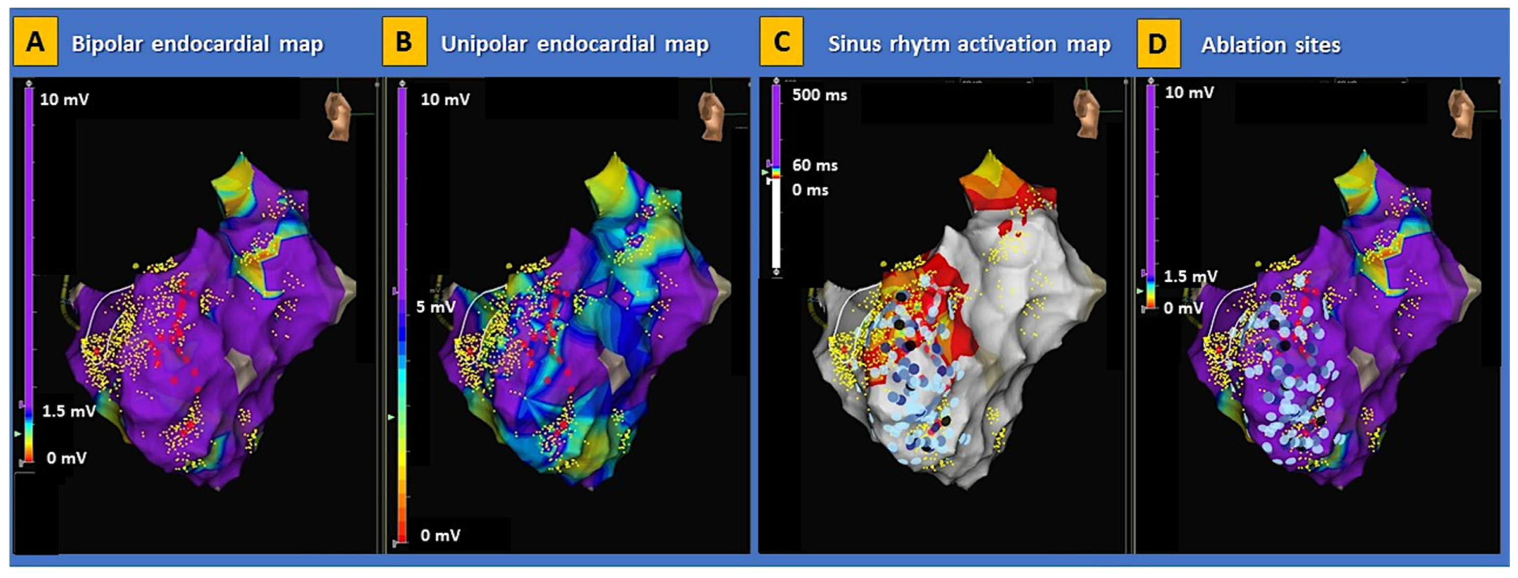 Genes 13 01755 g004 Genes 13 01755 g004