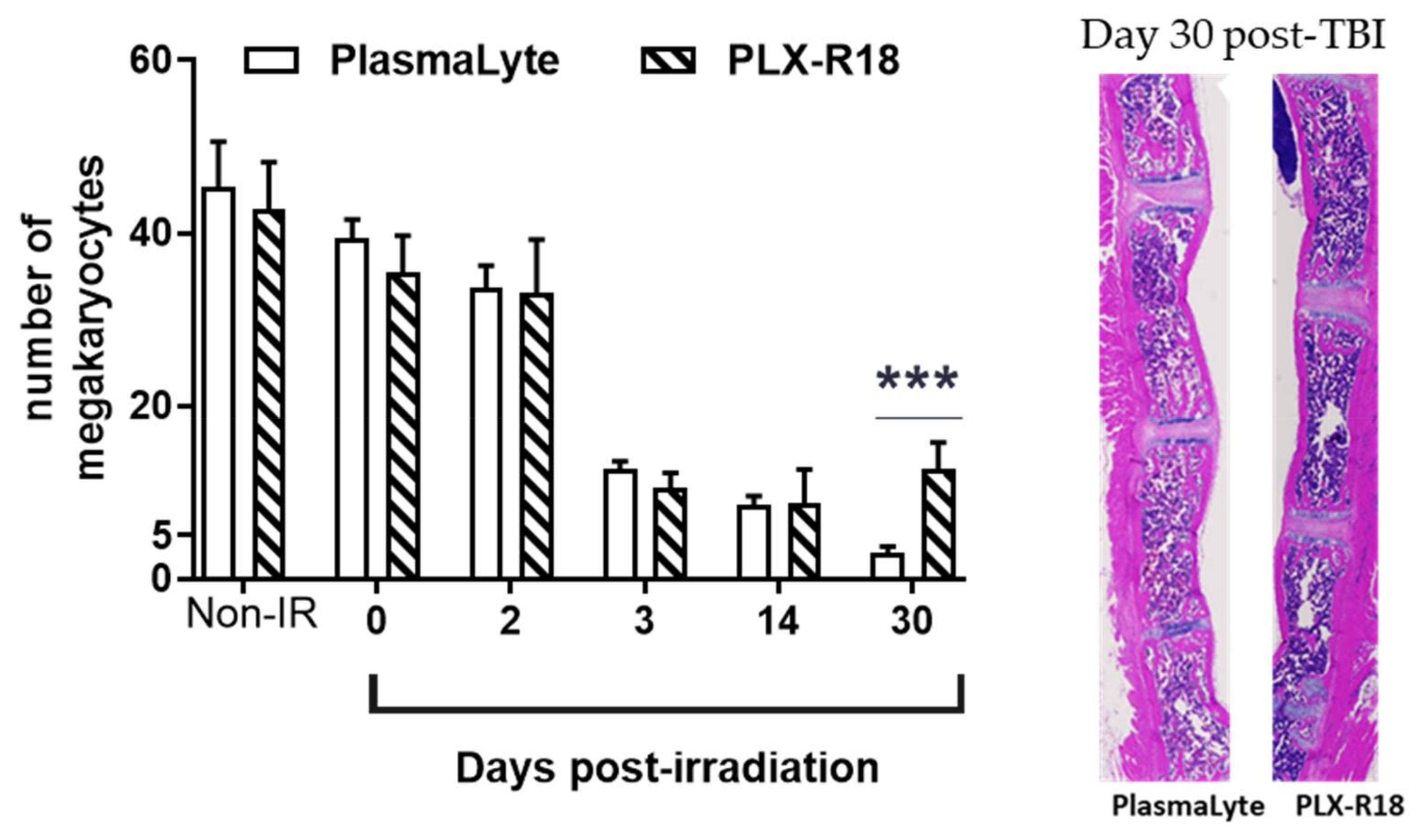Genes 13 01756 g004 Genes 13 01756 g004