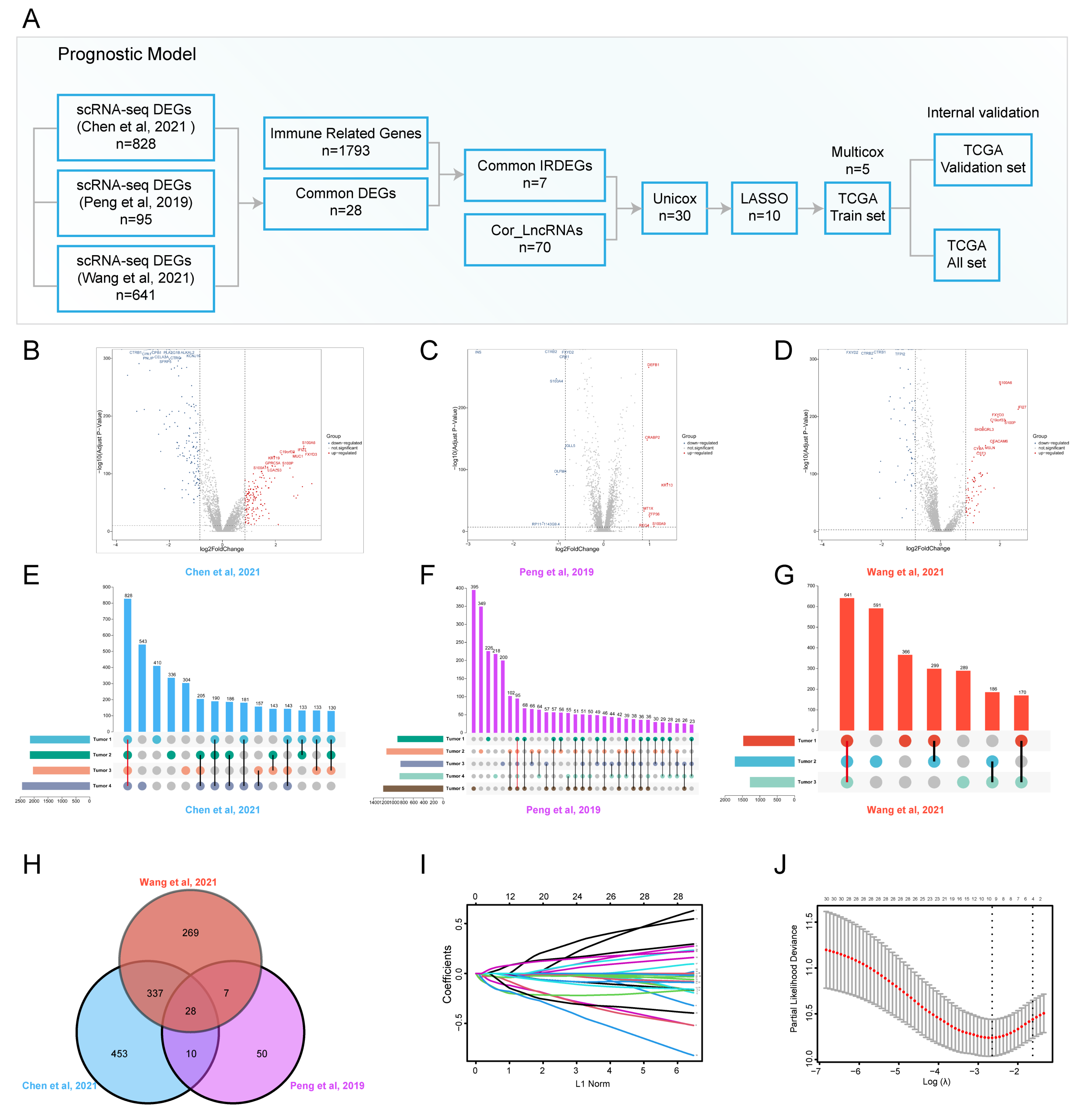 Genes 13 01760 g001 Genes 13 01760 g001