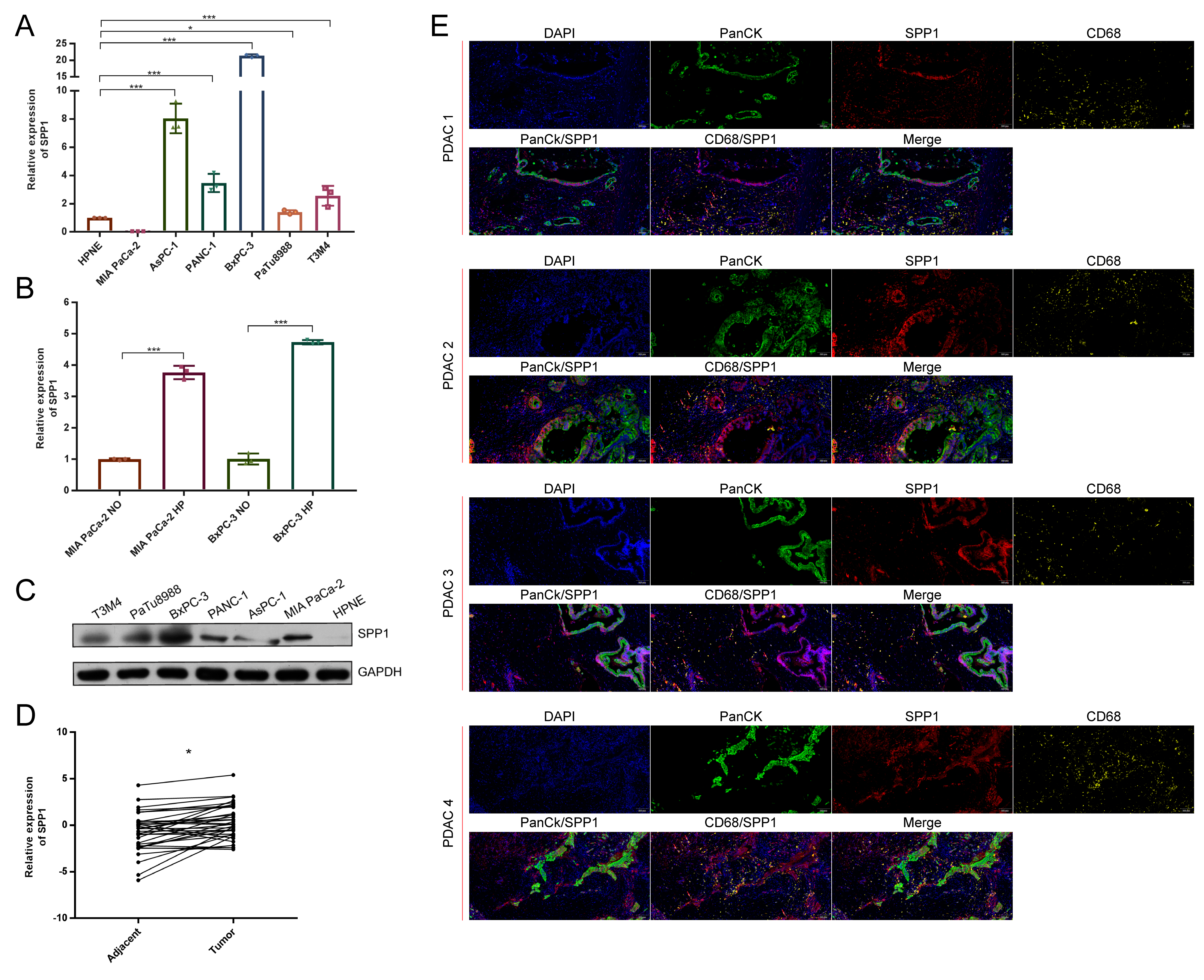 Genes 13 01760 g006 Genes 13 01760 g006
