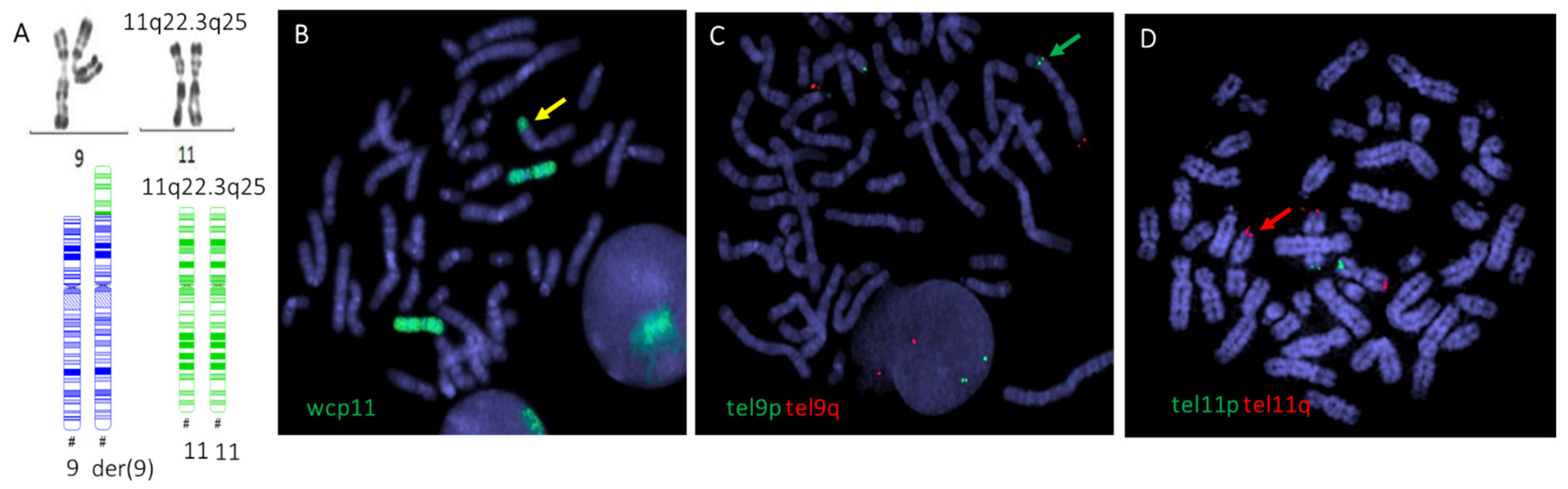 Genes 13 01762 g002 Genes 13 01762 g002