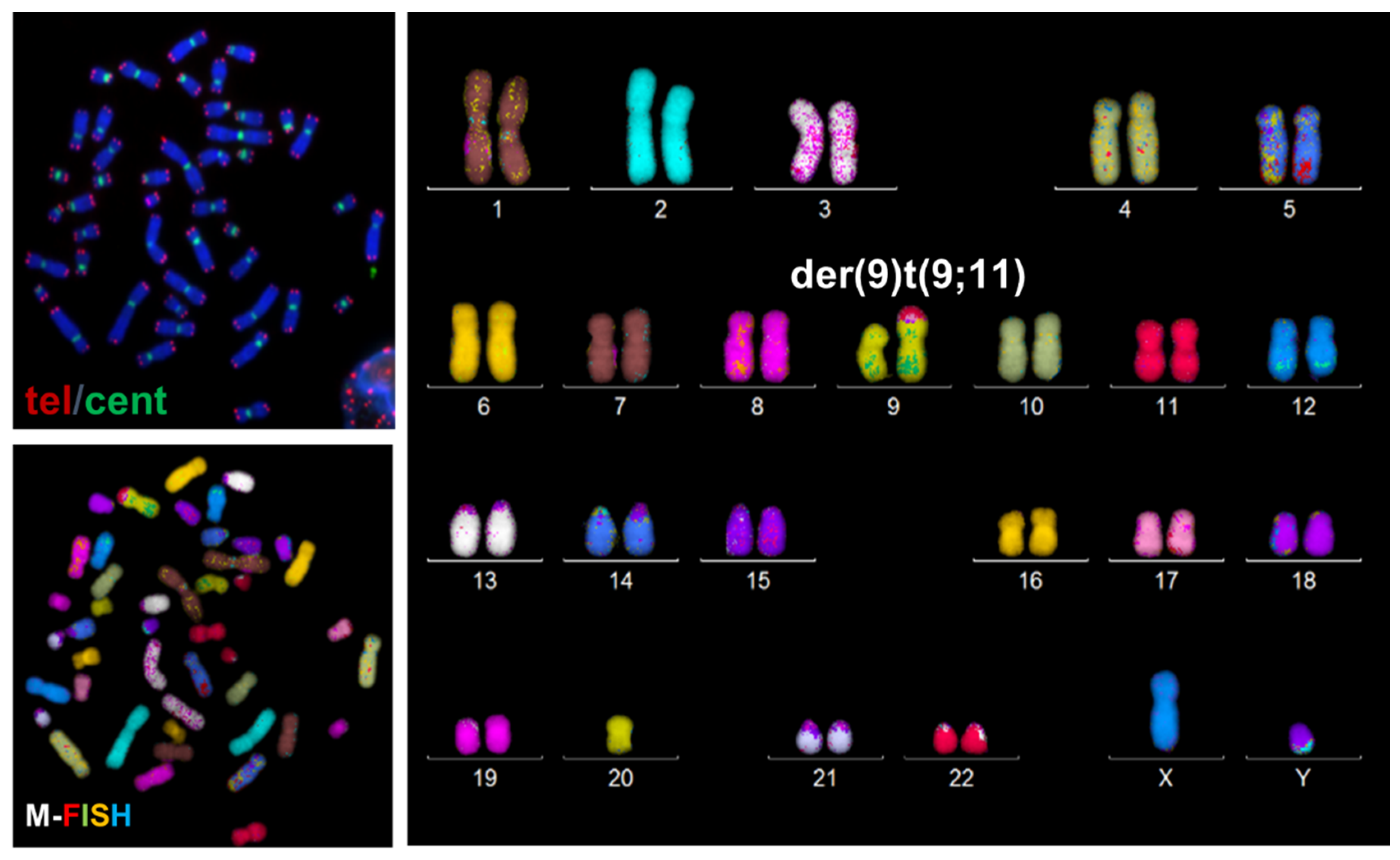 Genes 13 01762 g003 Genes 13 01762 g003