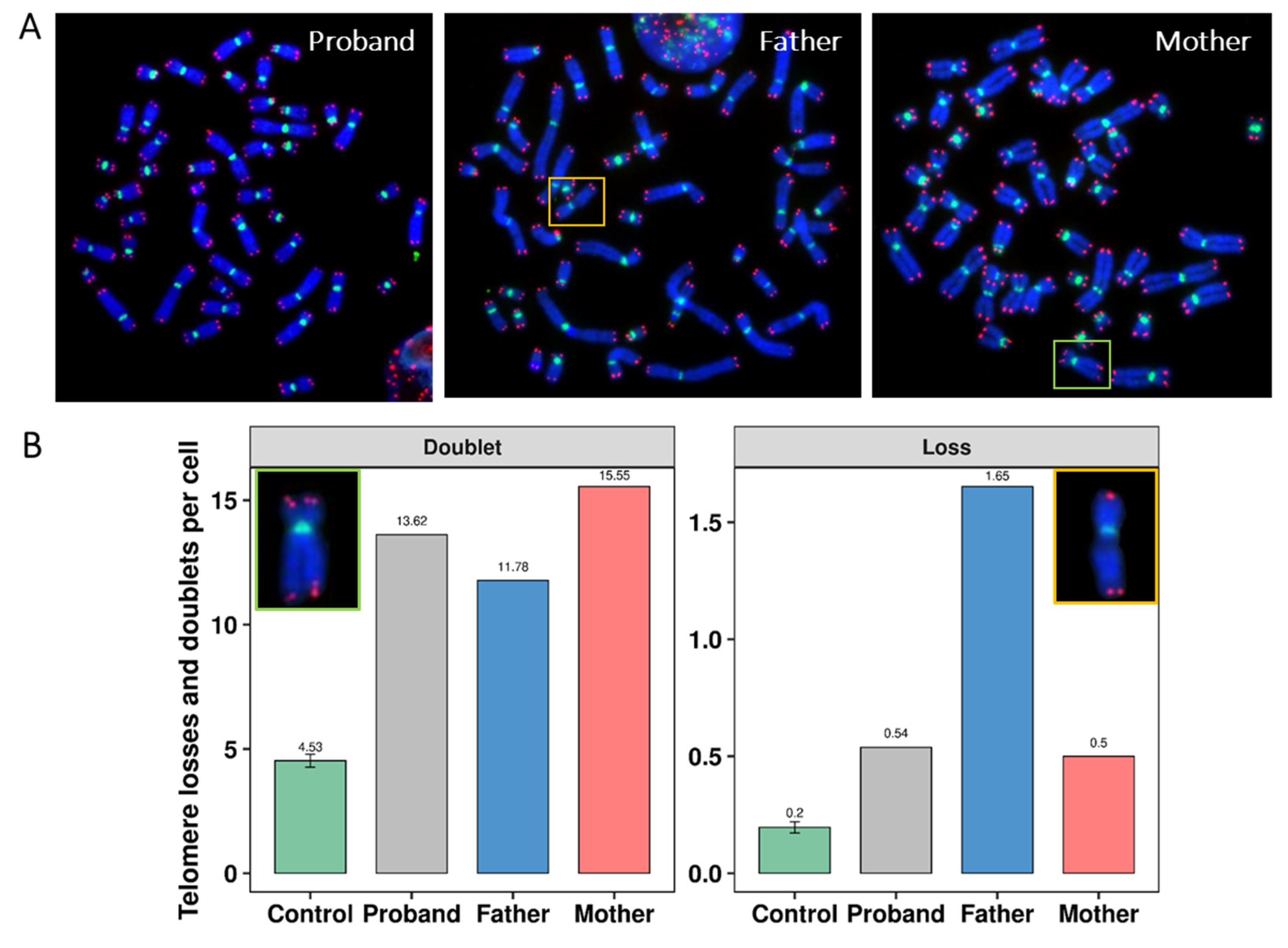 Genes 13 01762 g005 Genes 13 01762 g005
