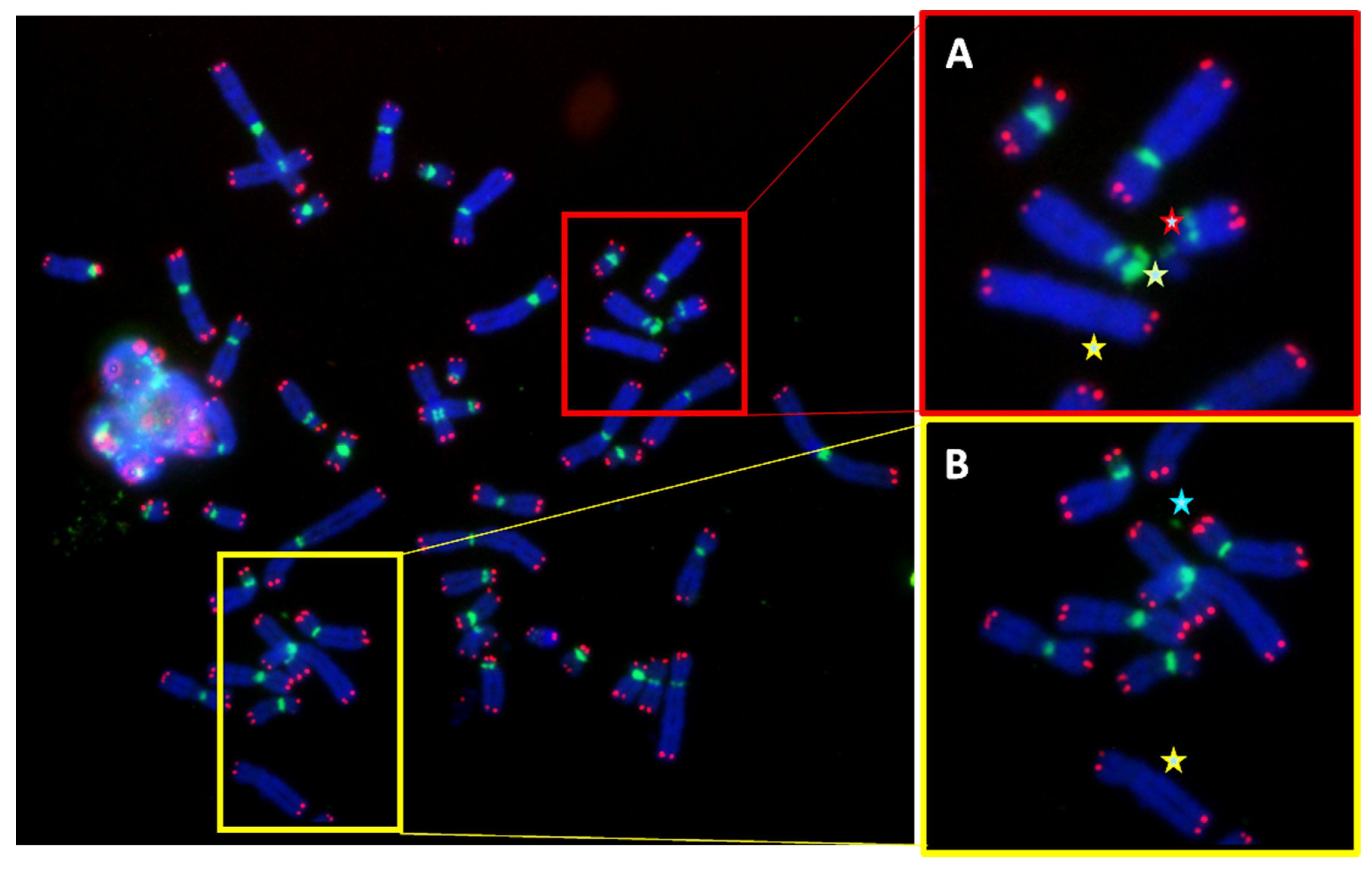 Genes 13 01762 g007 Genes 13 01762 g007