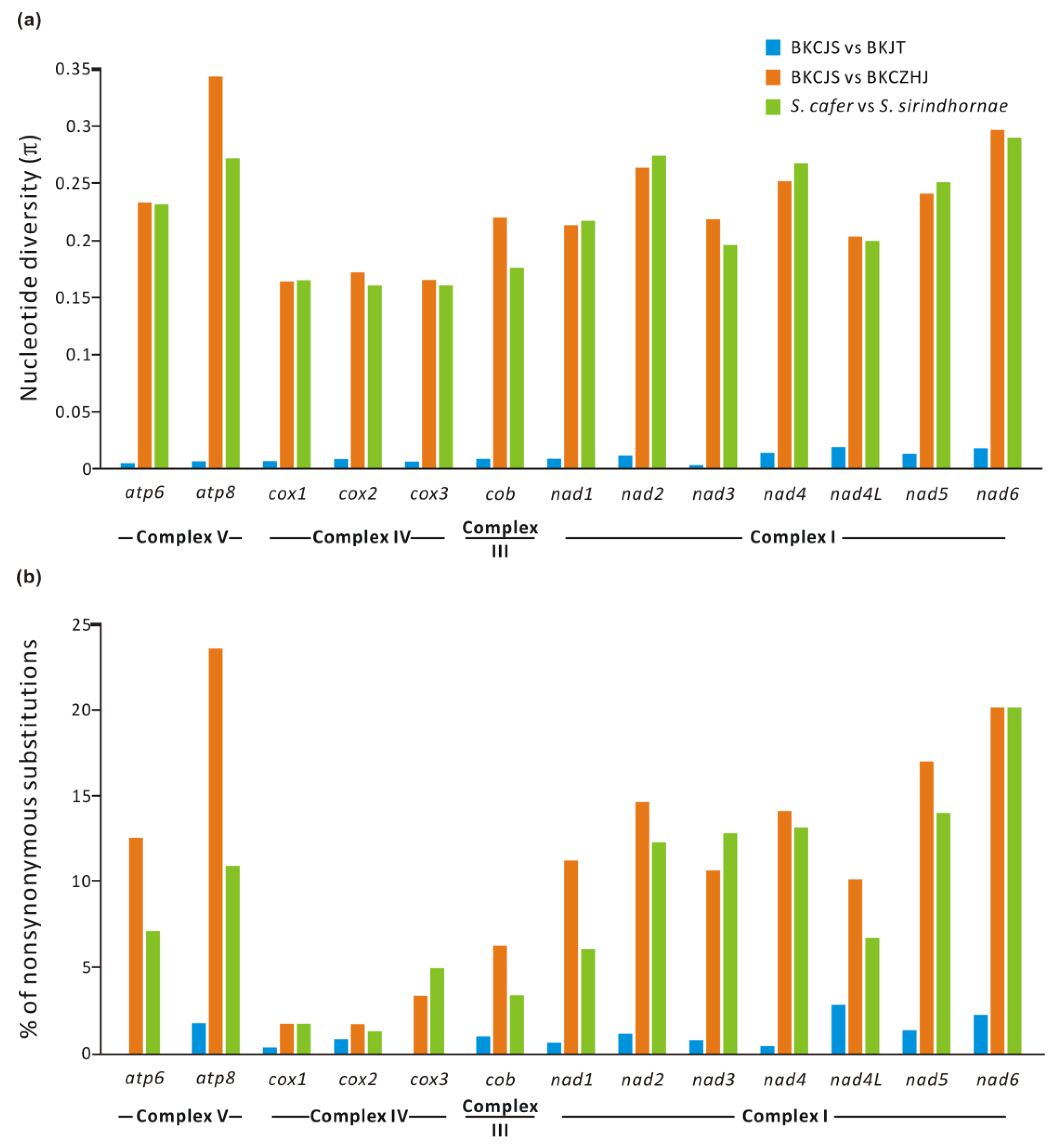 Genes 13 01765 g002