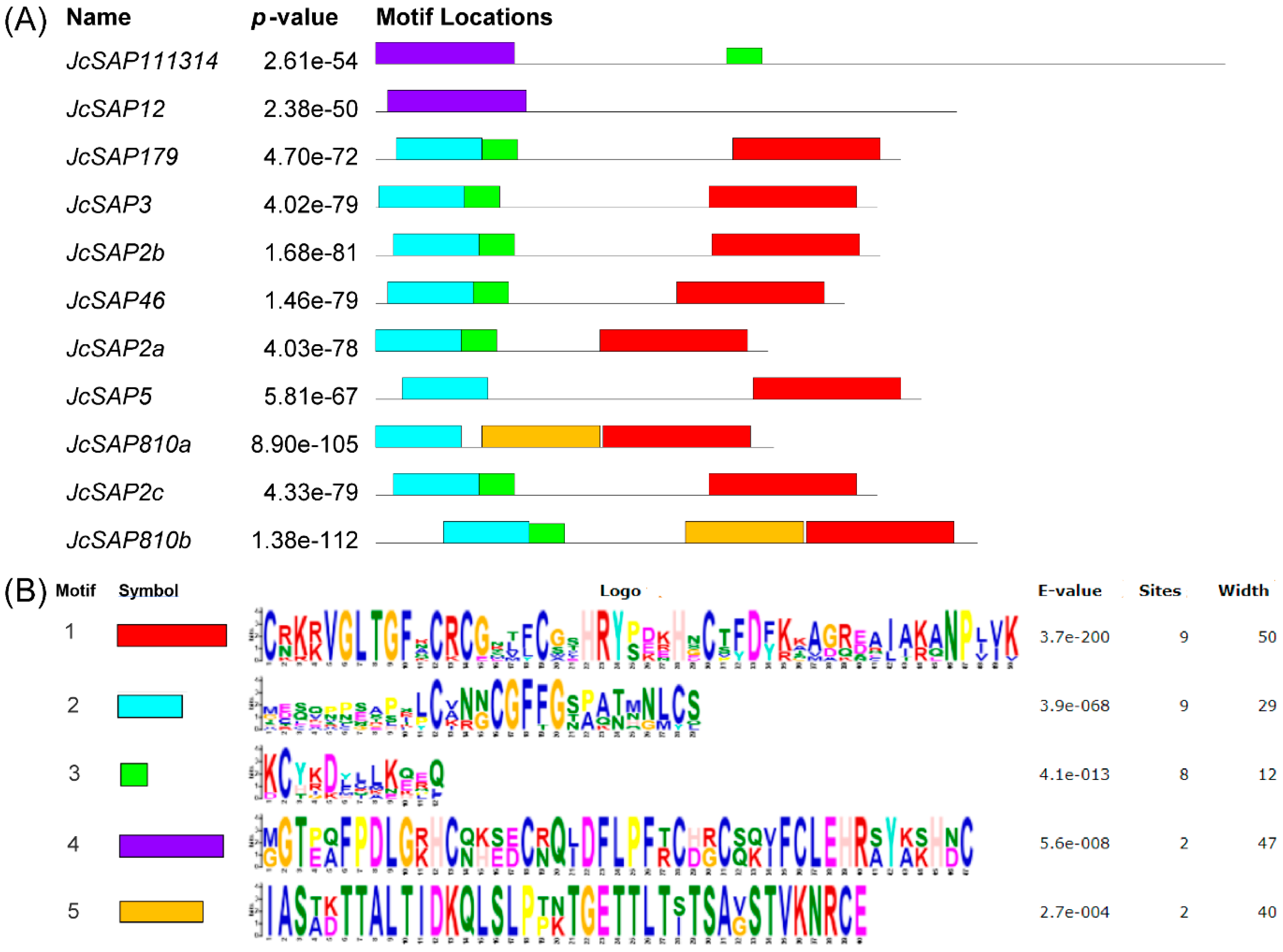 Genes 13 01766 g004 550