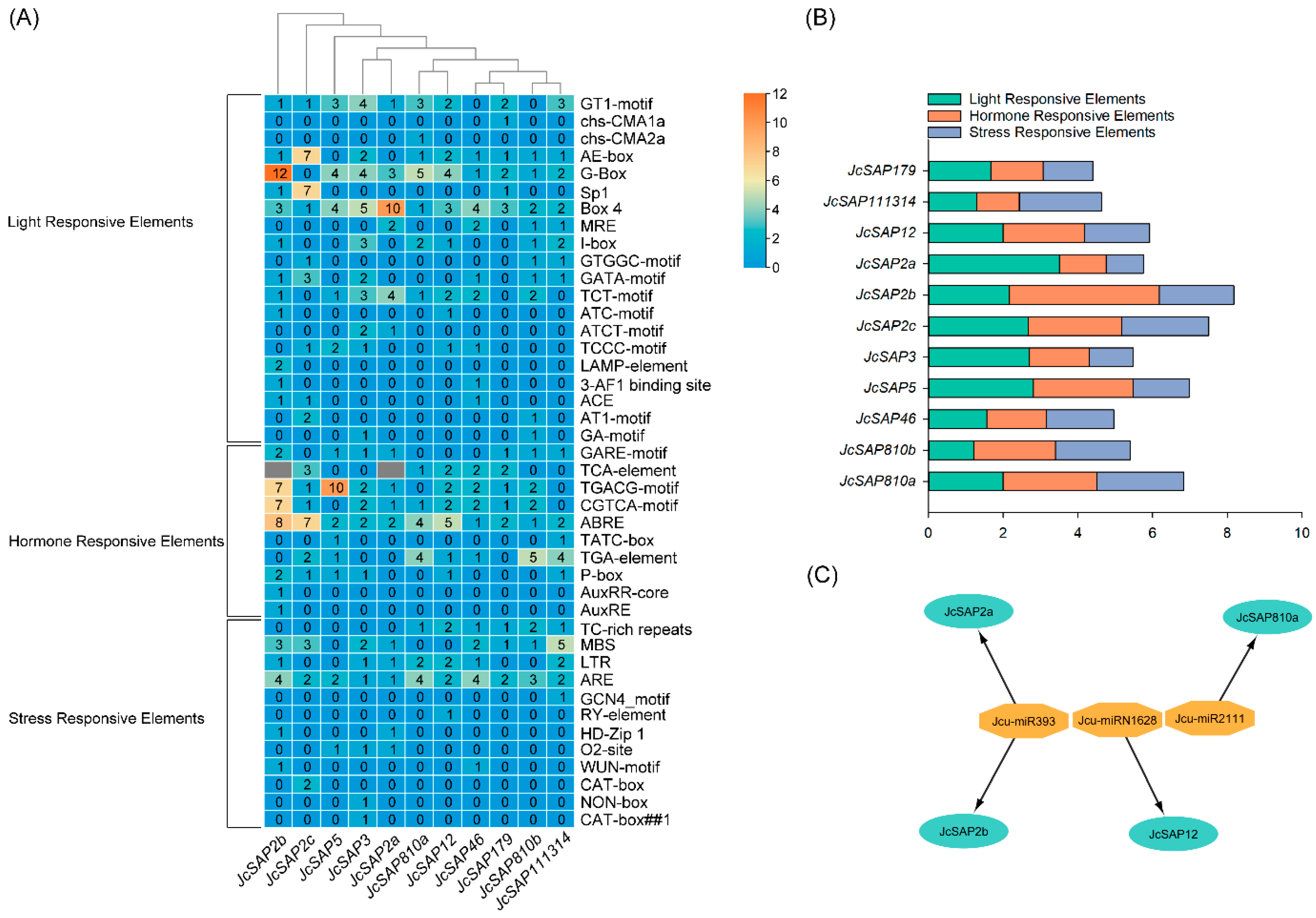 Genes 13 01766 g006 550