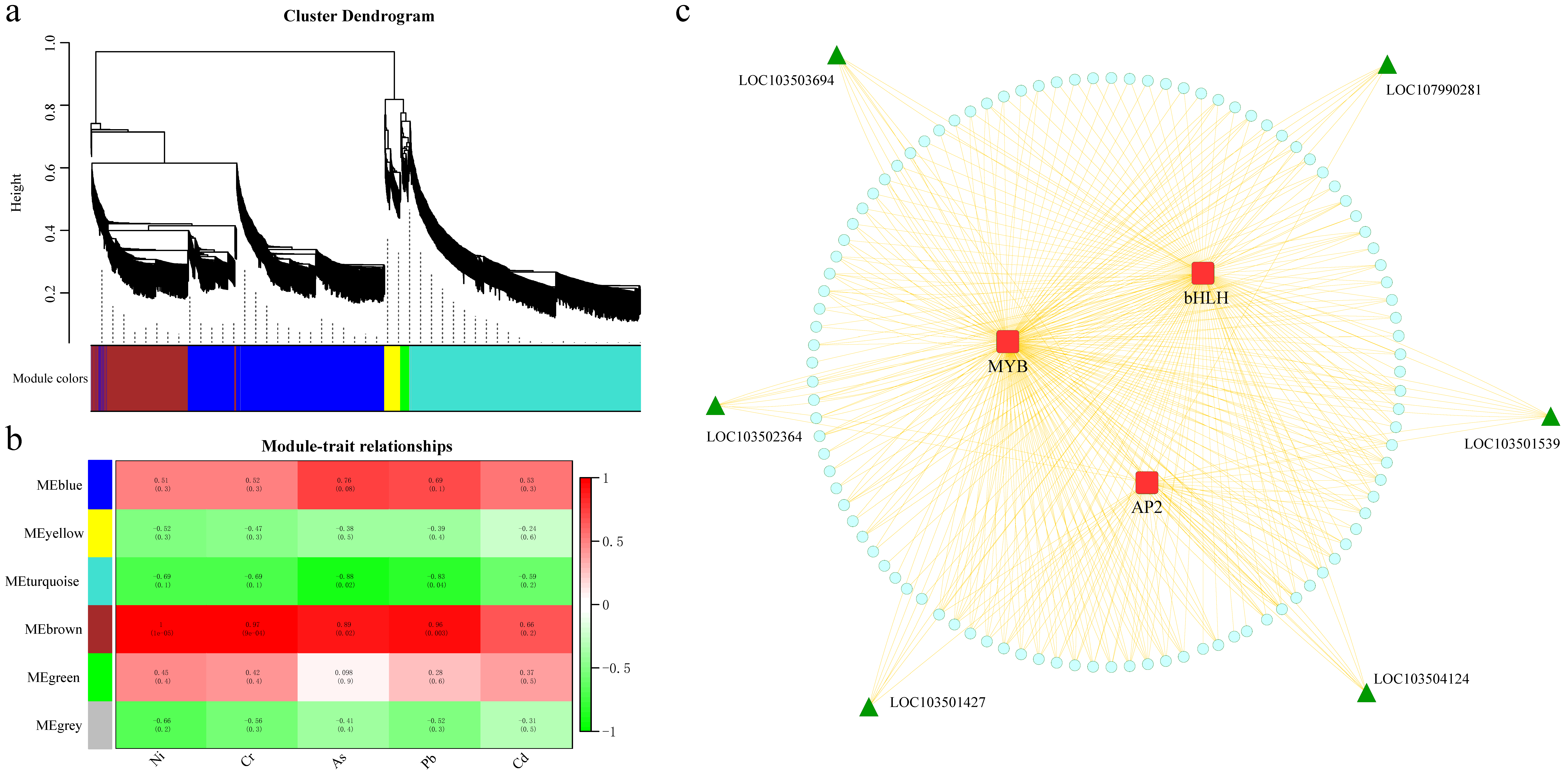 Genes 13 01767 g008