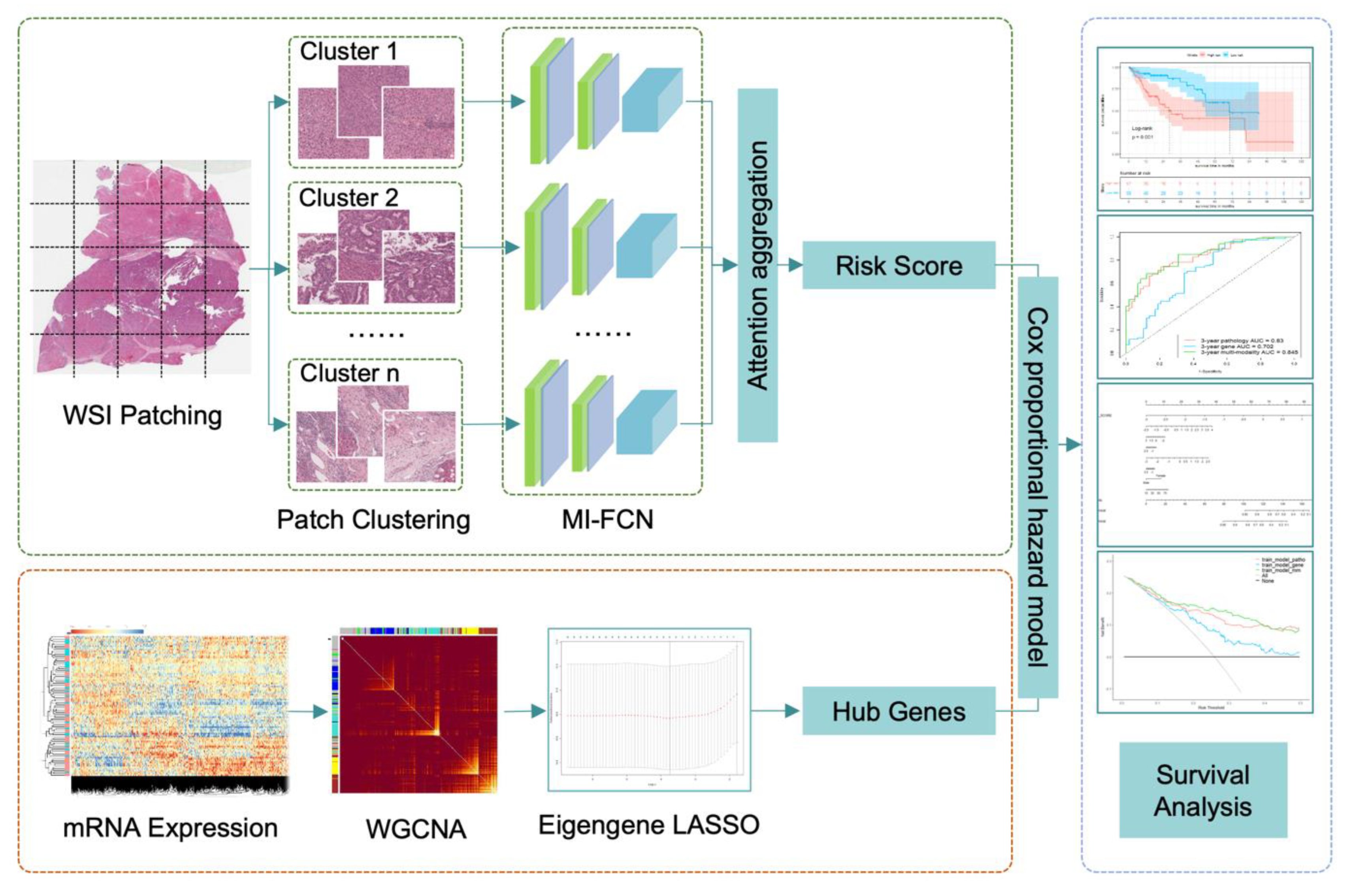 Genes 13 01770 g002 Genes 13 01770 g002