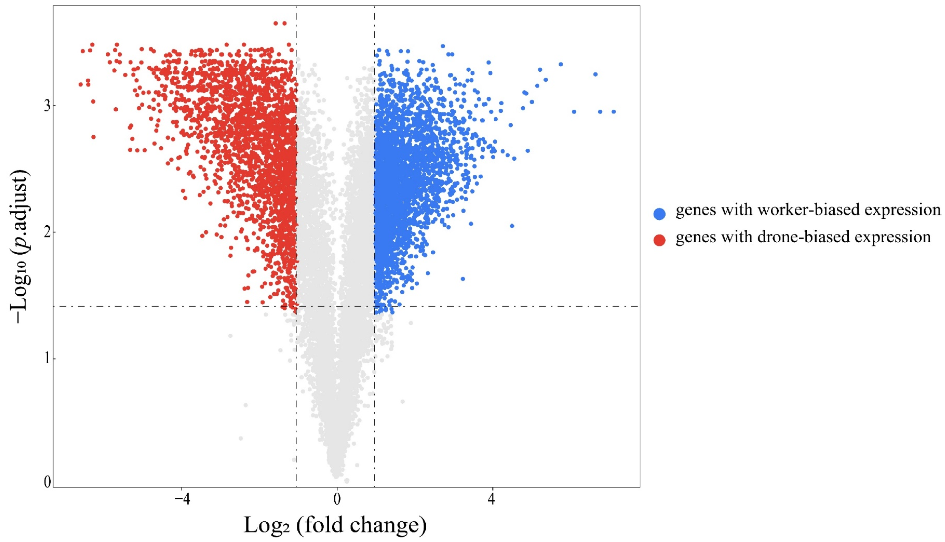Genes 13 01771 g001 Genes 13 01771 g001