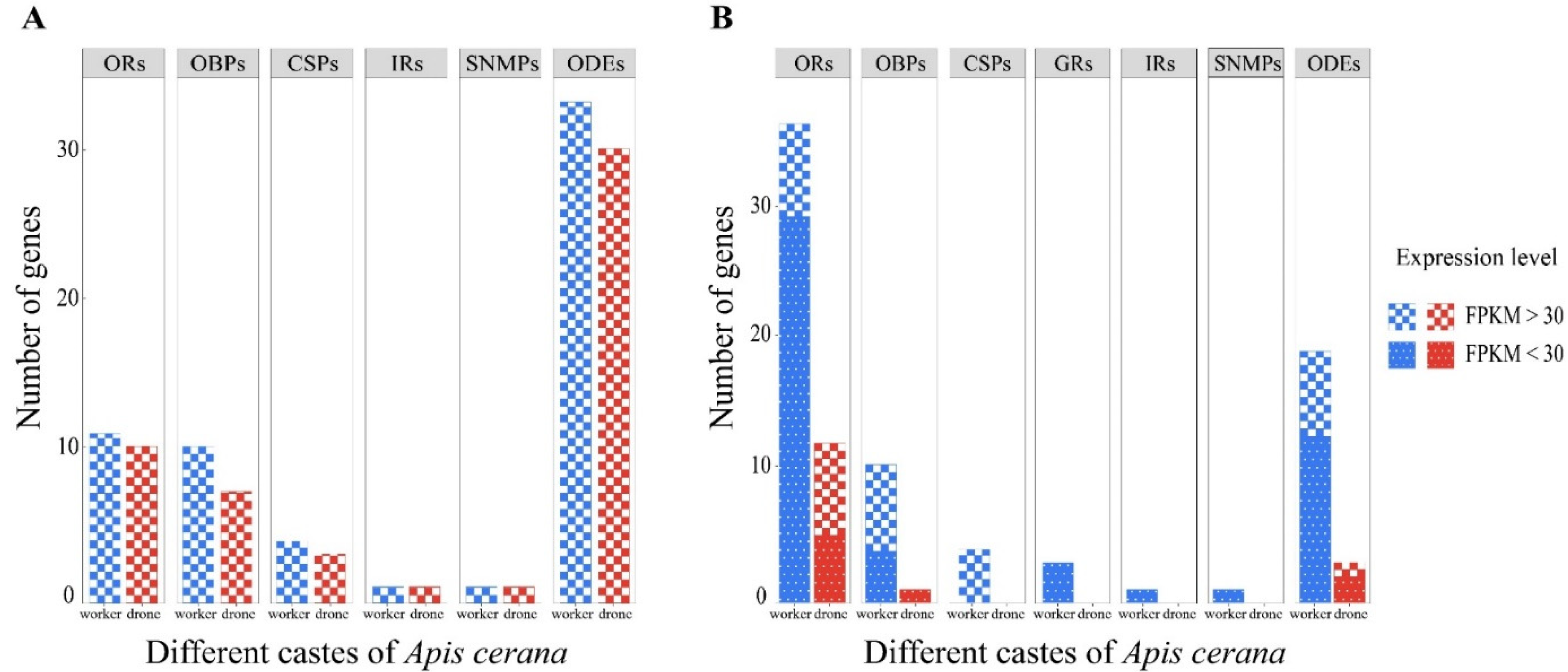 Genes 13 01771 g003 Genes 13 01771 g003