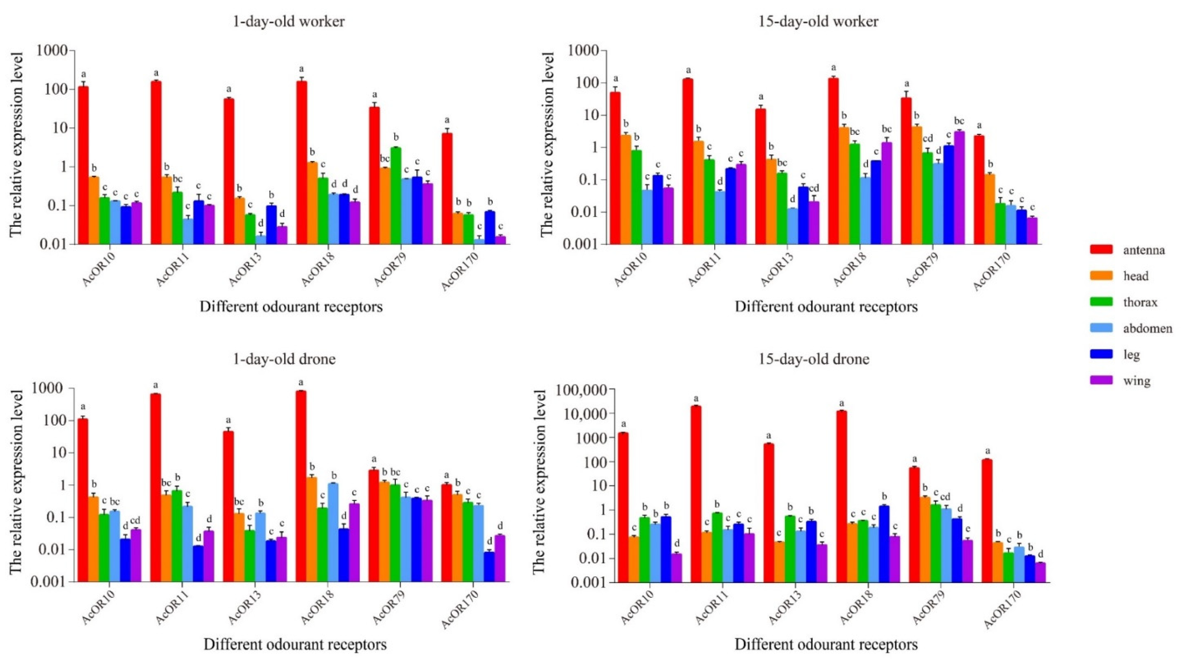 Genes 13 01771 g004 Genes 13 01771 g004