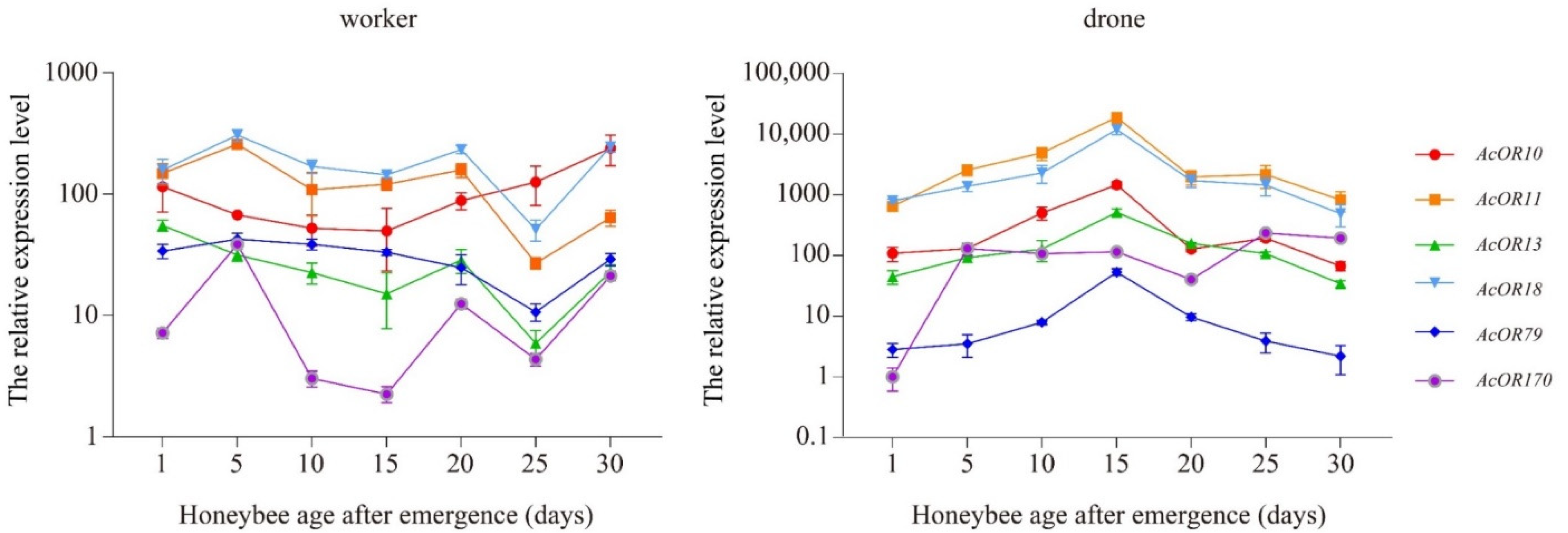 Genes 13 01771 g005 Genes 13 01771 g005