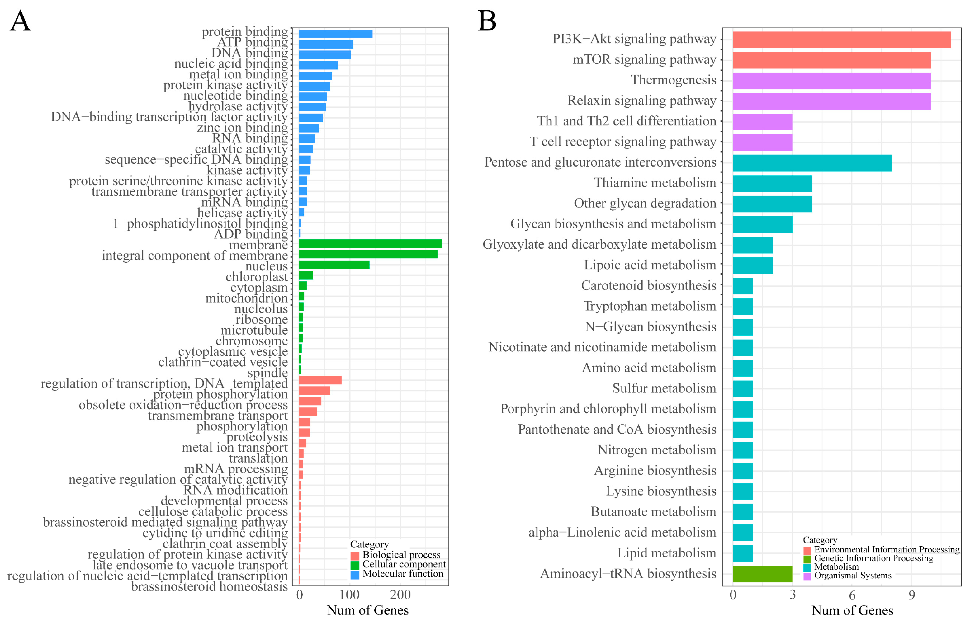 Genes 13 01782 g004