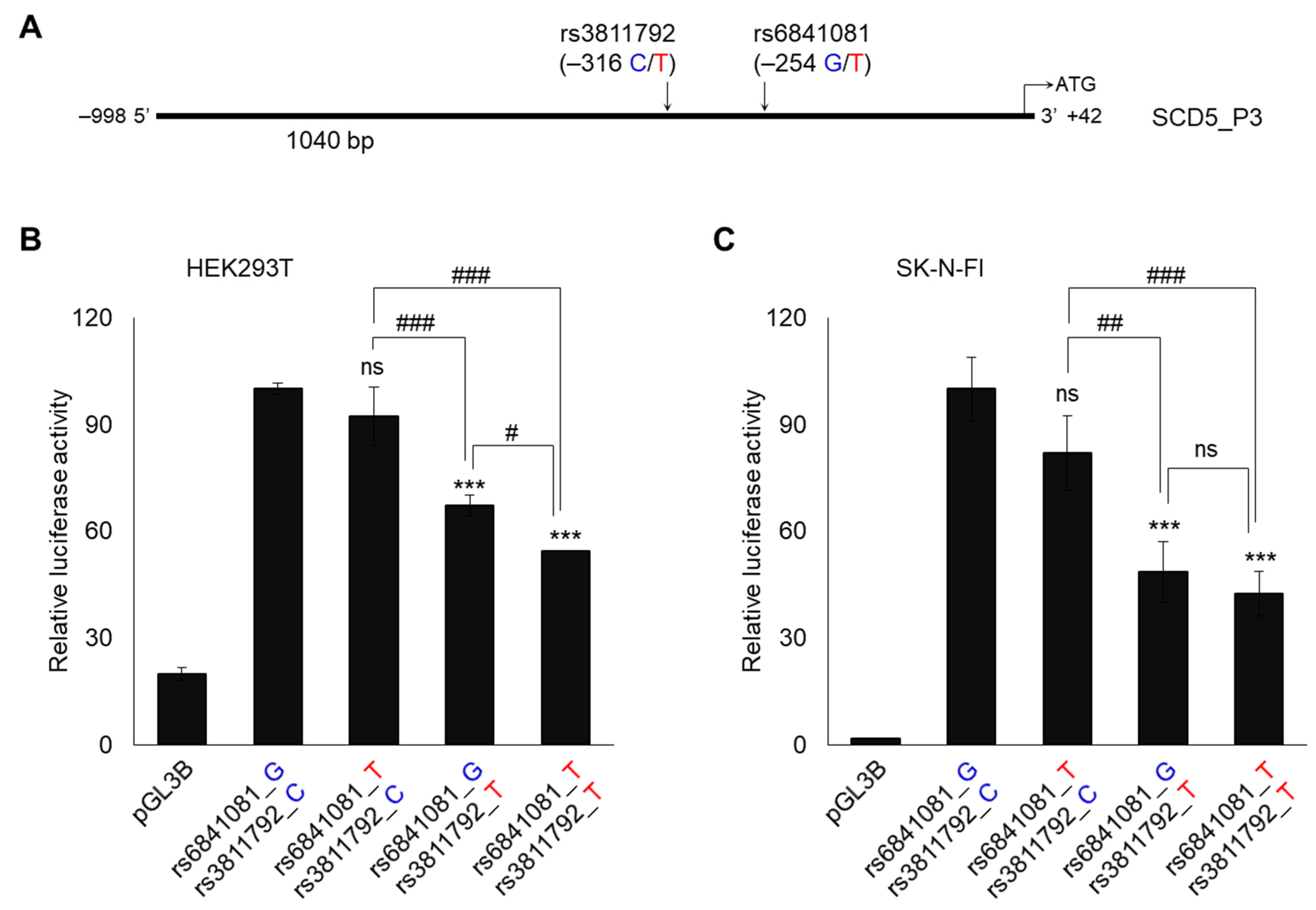 Genes 13 01784 g004 Genes 13 01784 g004