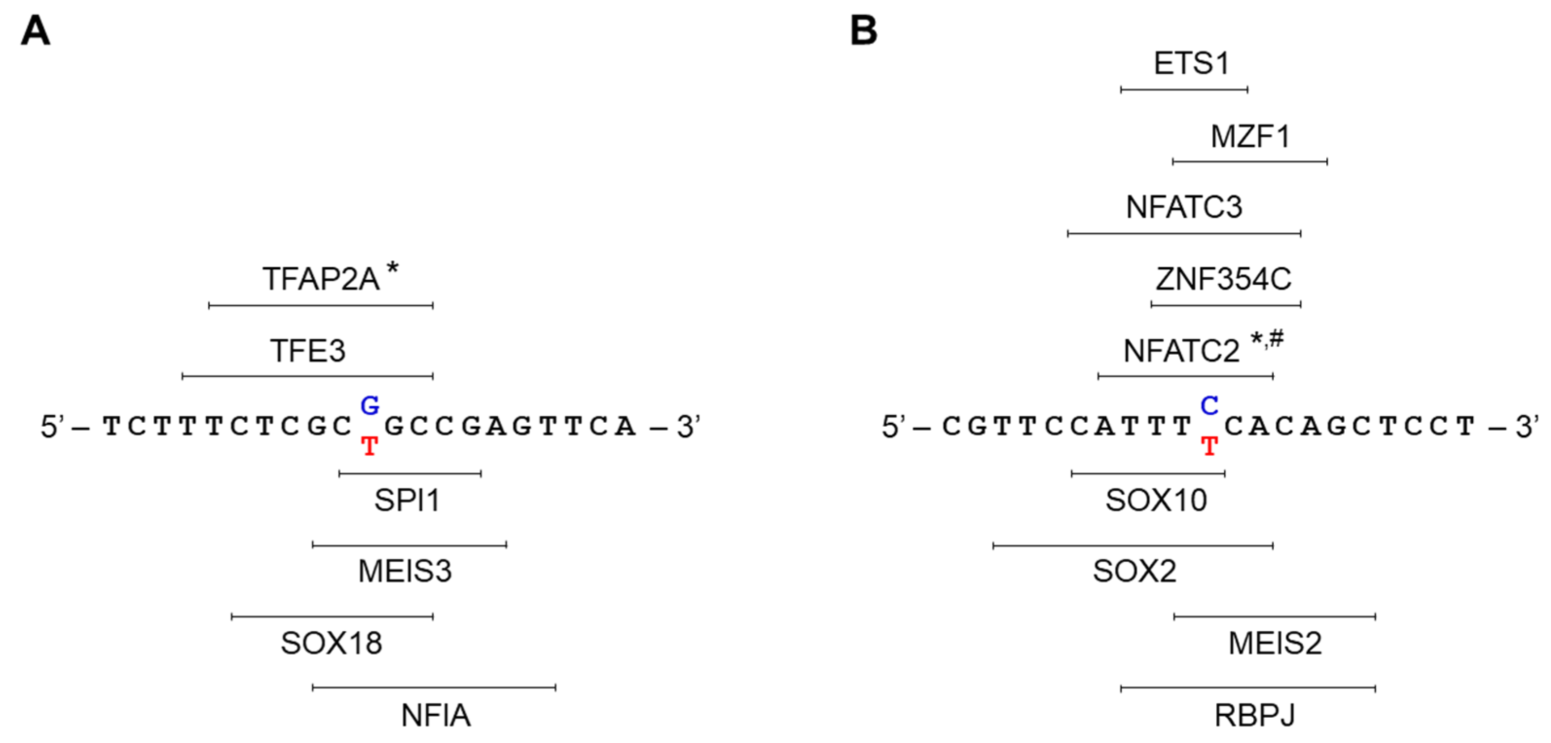 Genes 13 01784 g005 Genes 13 01784 g005