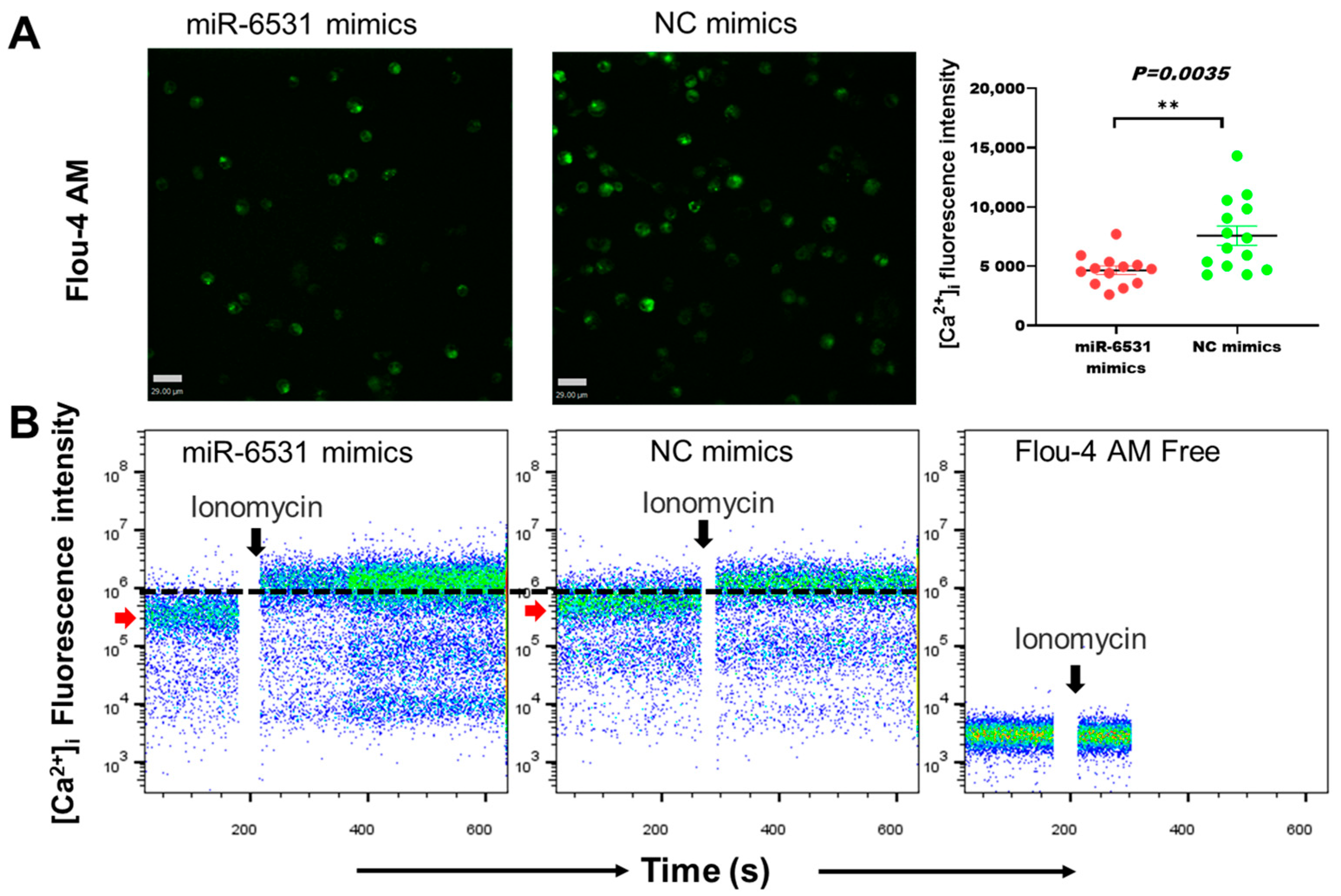 Genes 13 01788 g002 Genes 13 01788 g002