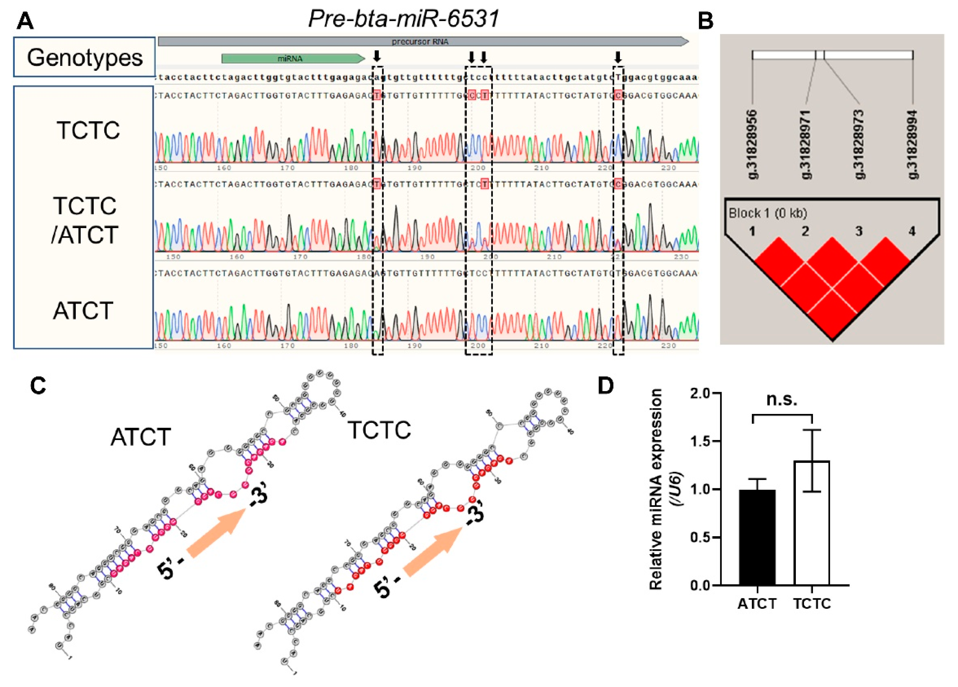 Genes 13 01788 g005 Genes 13 01788 g005