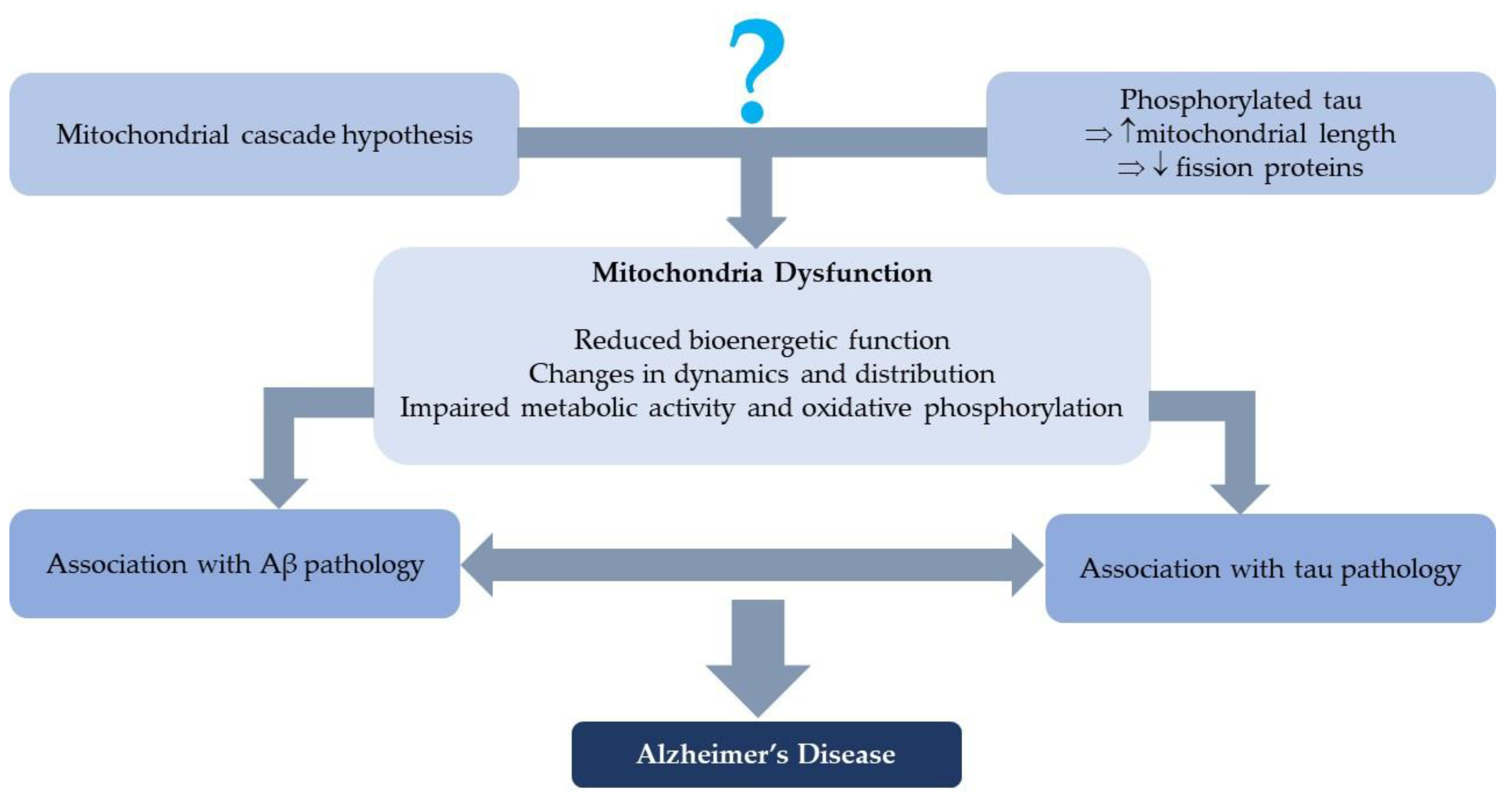 Genes 13 01789 g001 Genes 13 01789 g001