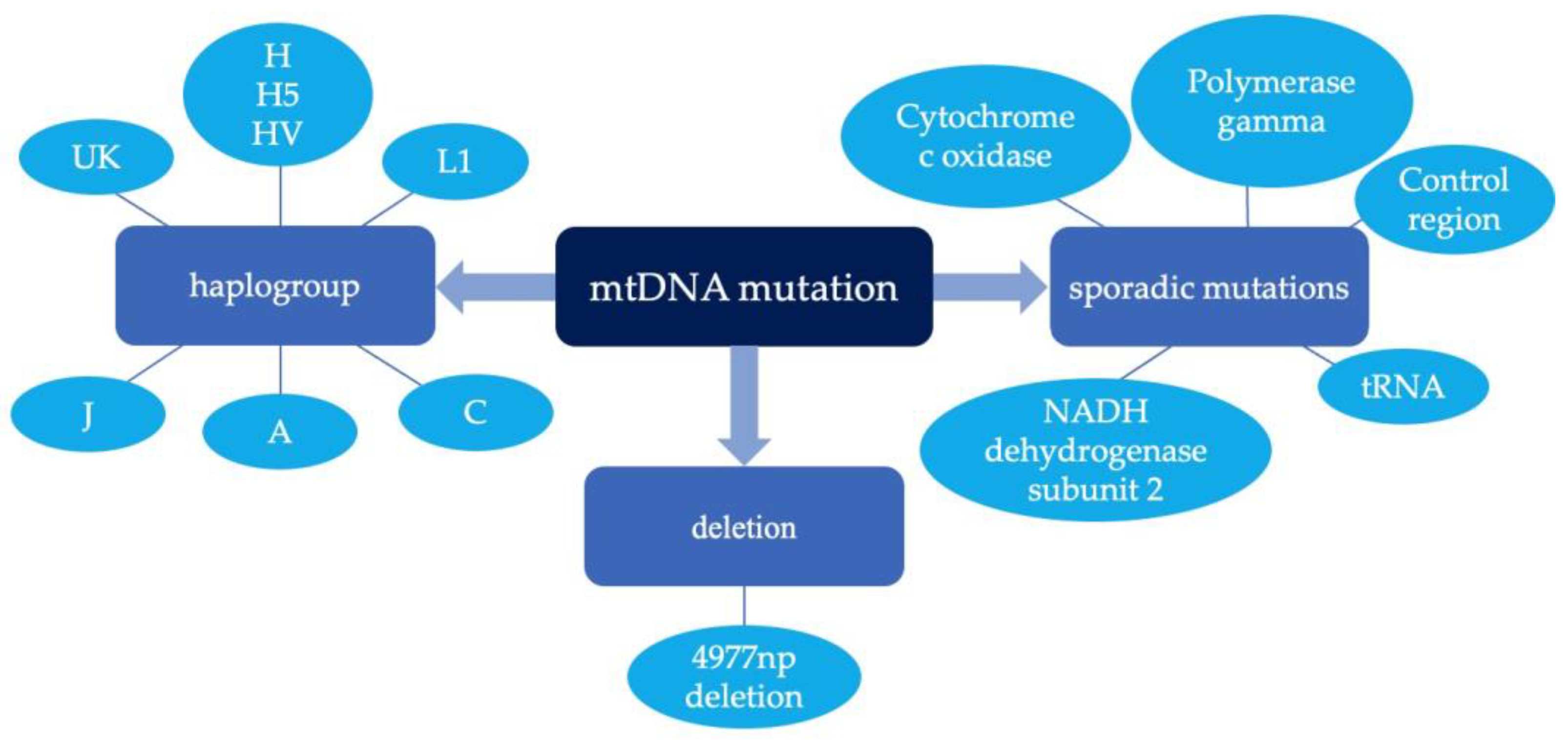 Genes 13 01789 g002 Genes 13 01789 g002