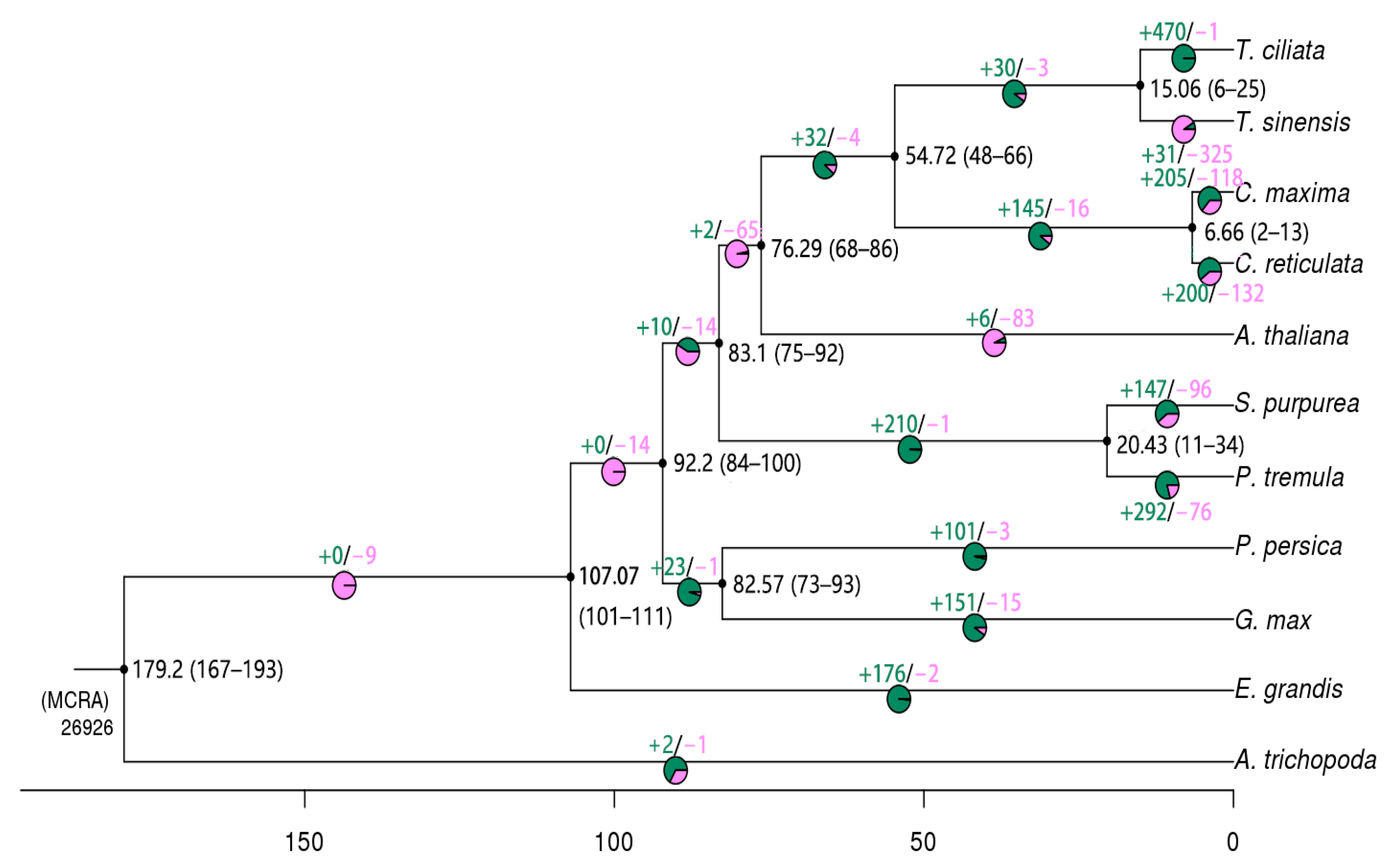 Genes 13 01799 g002 Genes 13 01799 g002