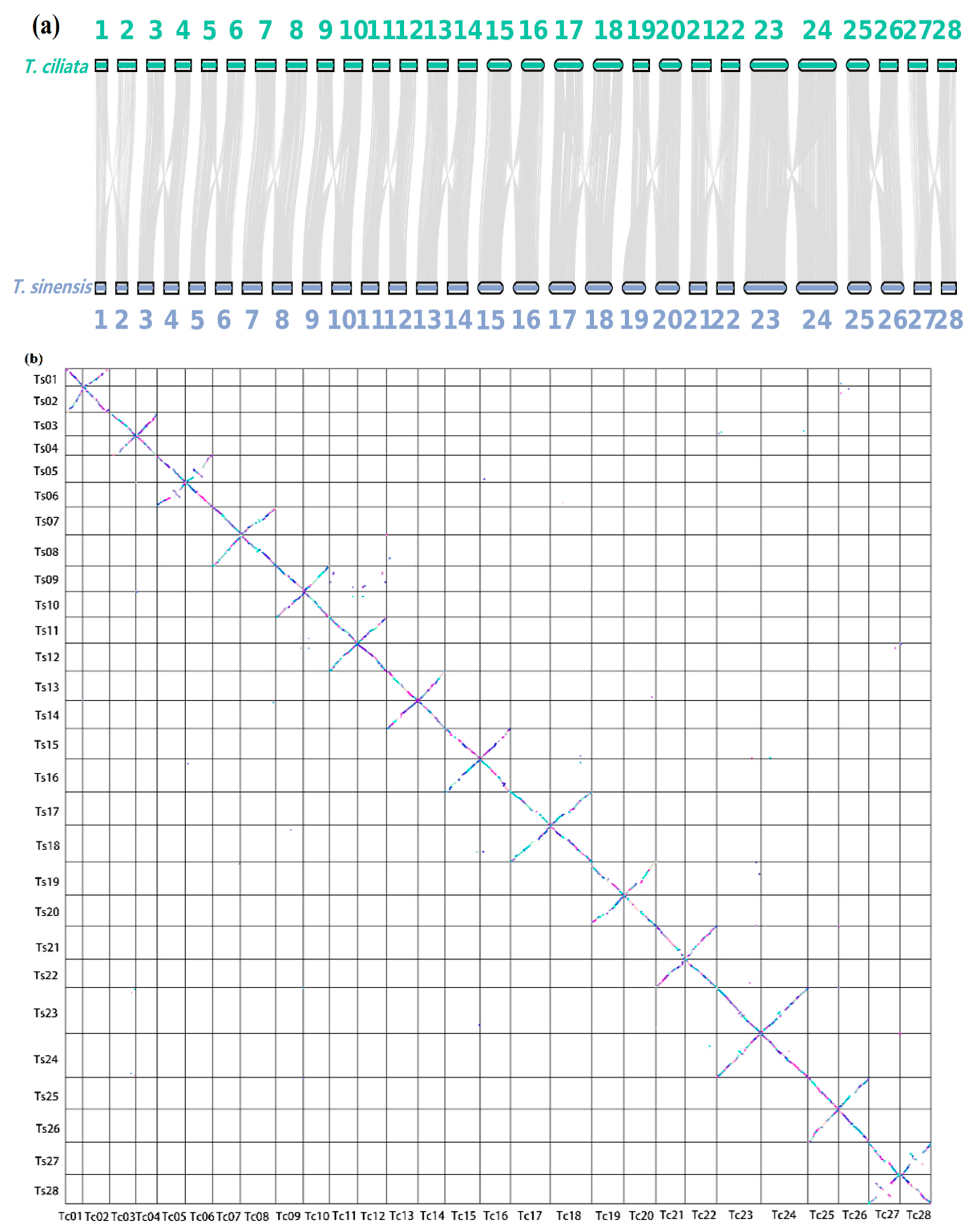 Genes 13 01799 g003 Genes 13 01799 g003