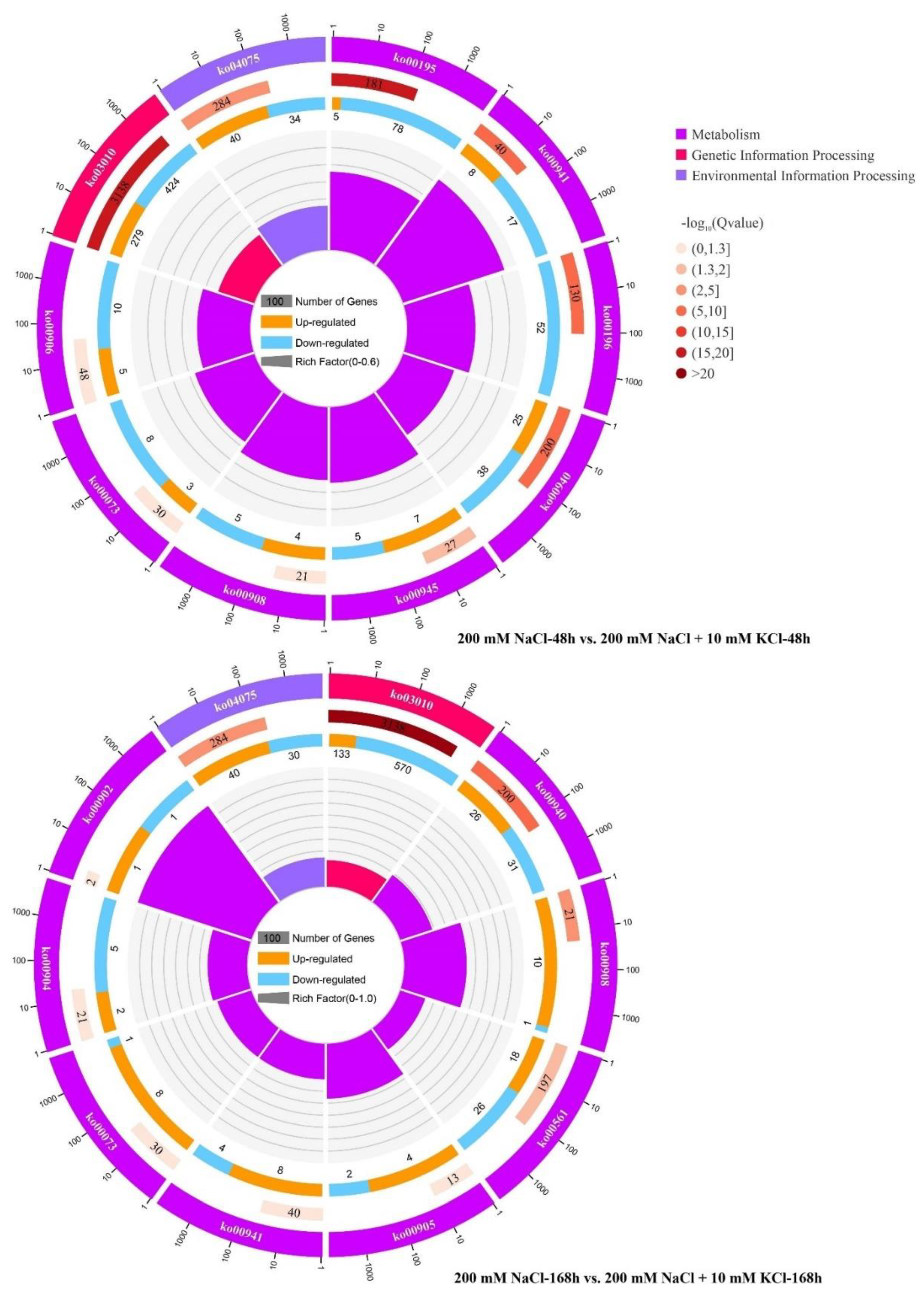 Genes 13 01803 g001 Genes 13 01803 g001