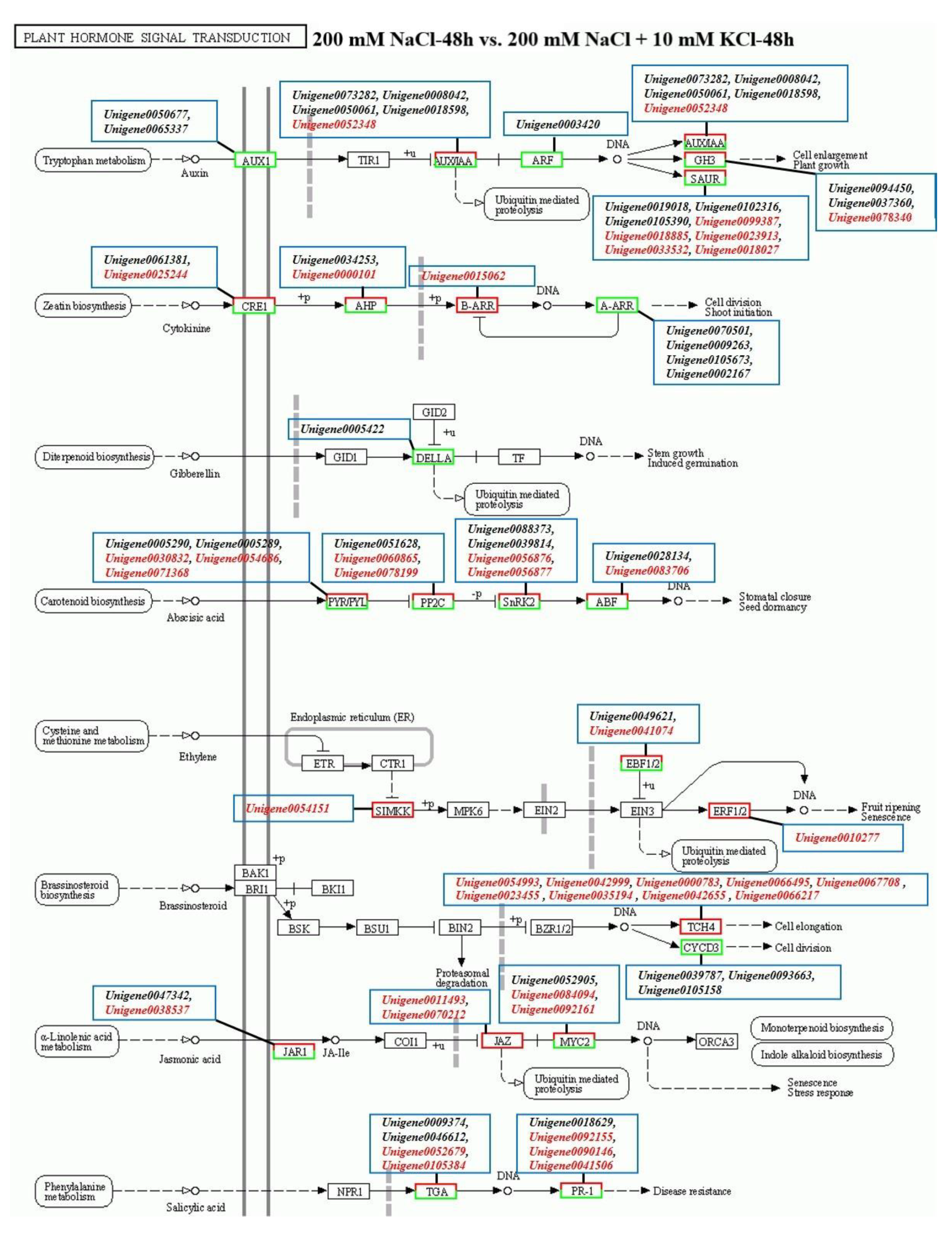 Genes 13 01803 g002a Genes 13 01803 g002a