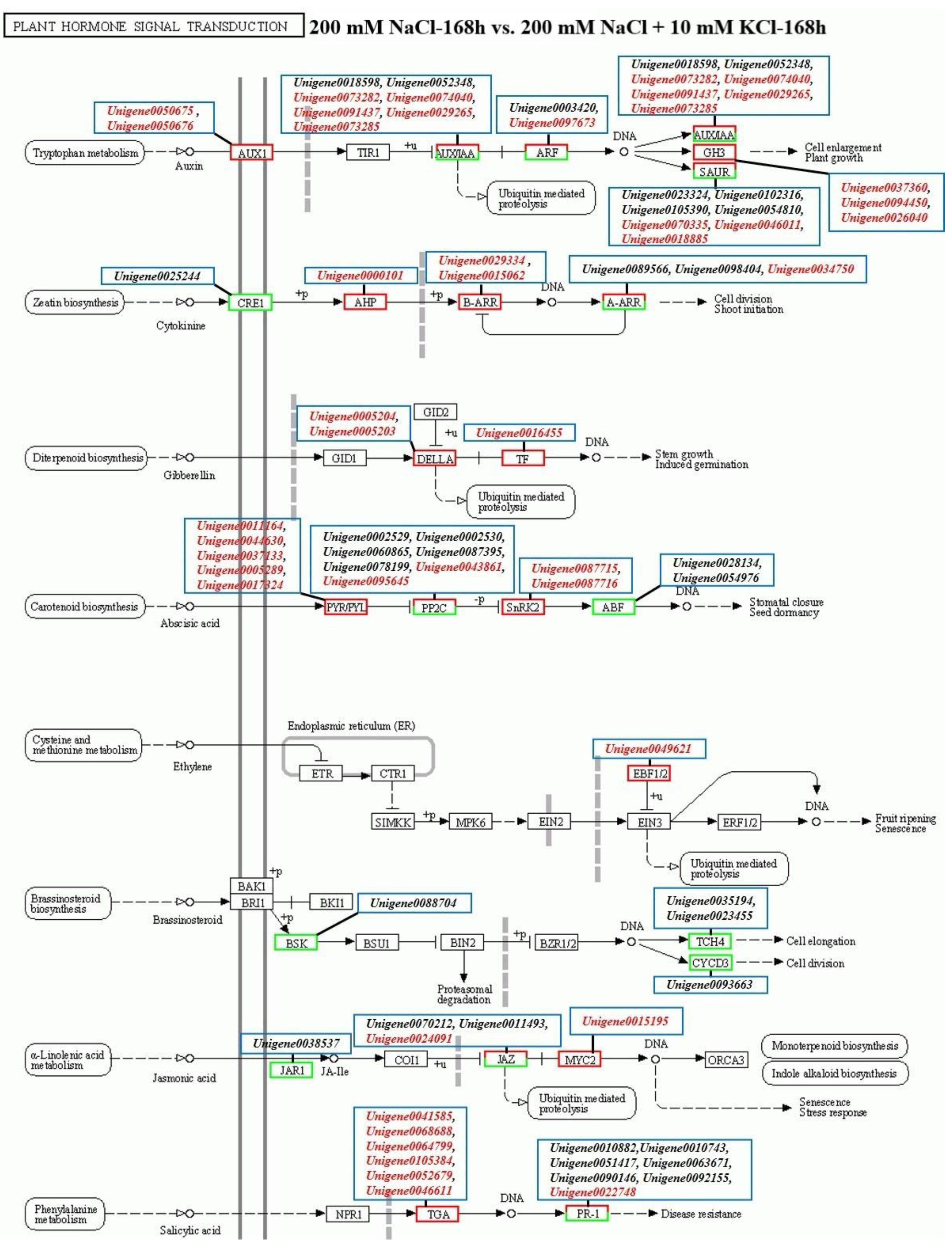 Genes 13 01803 g002b Genes 13 01803 g002b