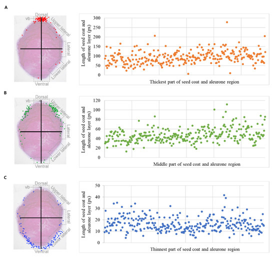 mei様 オーダー Development of SNP Markers from GWAS for Selecting Seed Coat