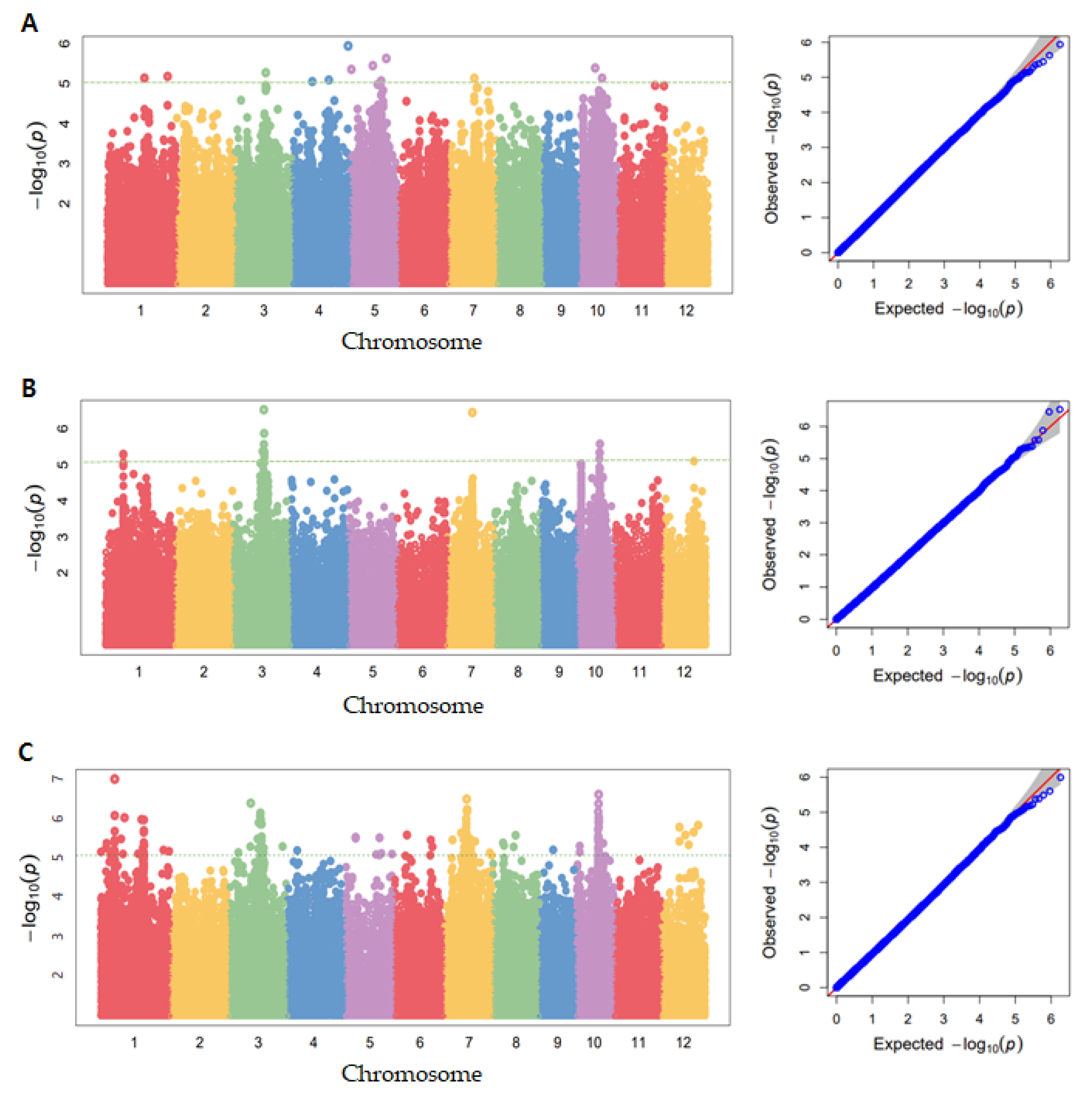 Genes 13 01805 g004 Genes 13 01805 g004