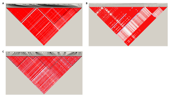 Development of SNP Markers from GWAS for Selecting Seed Coat