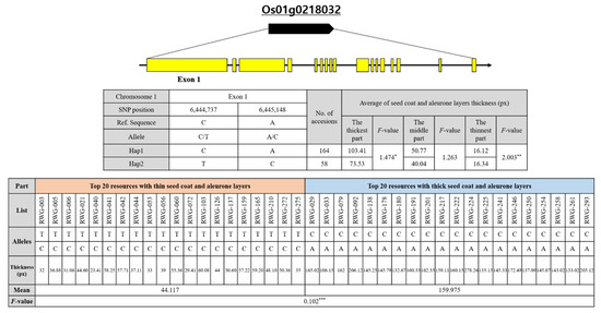 Development of SNP Markers from GWAS for Selecting Seed Coat
