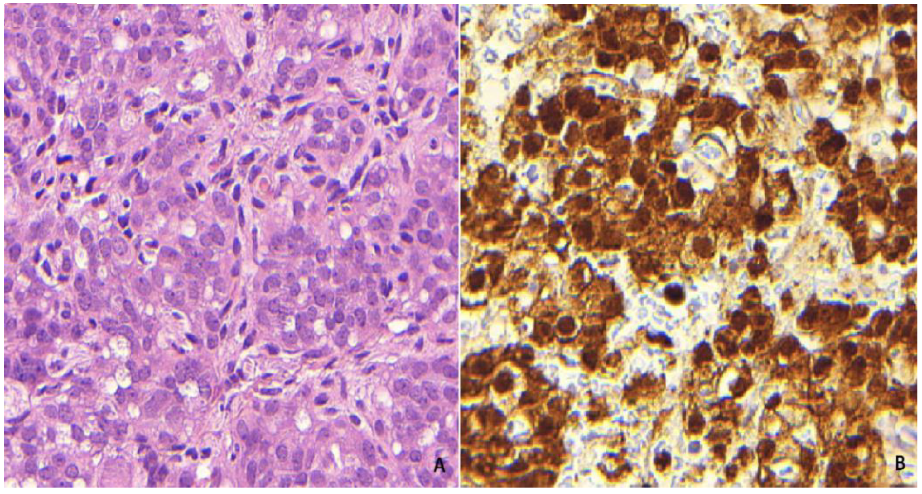 Genes 13 01809 g004 Genes 13 01809 g004