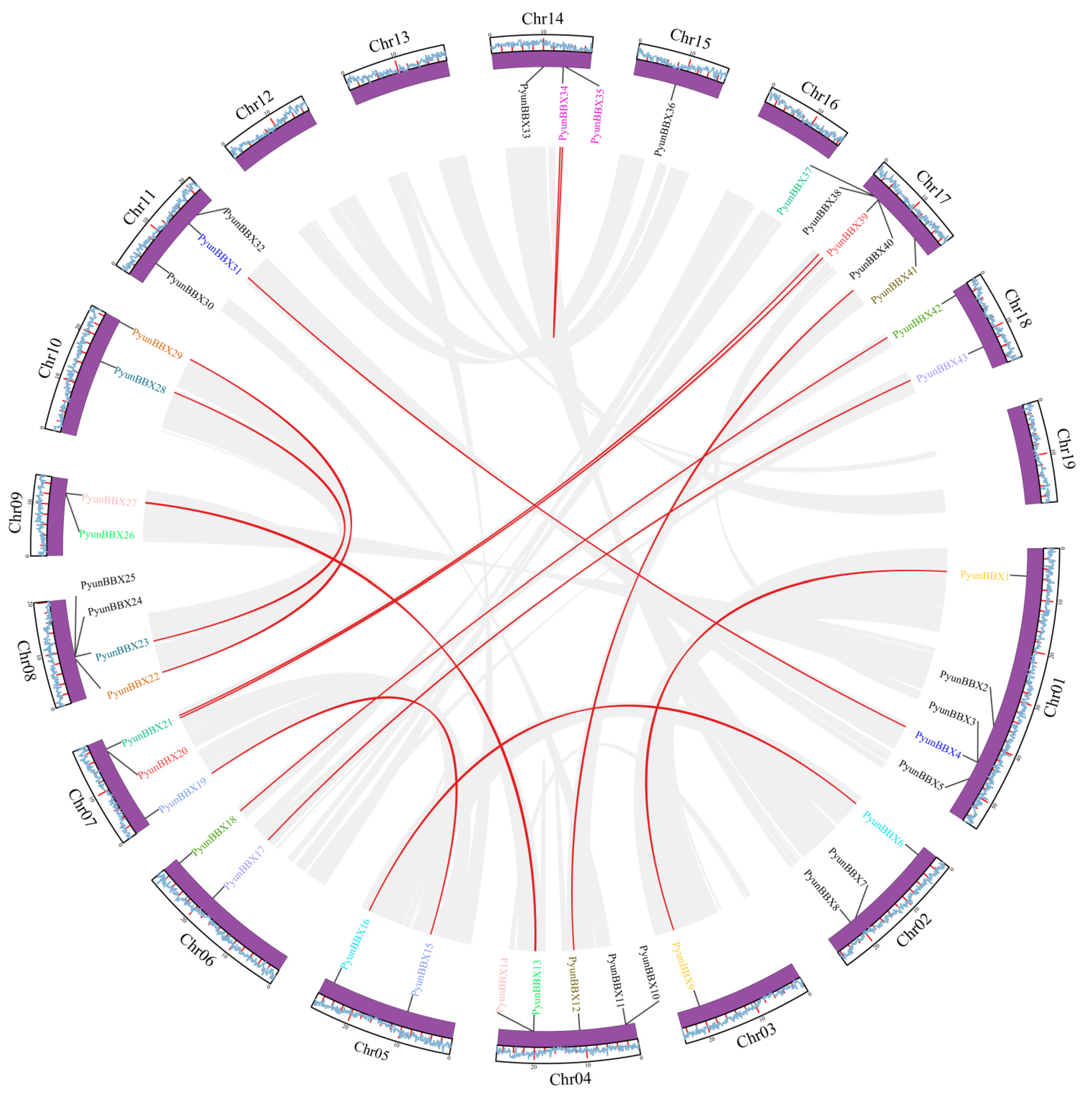 Genes 13 01811 g004 Genes 13 01811 g004
