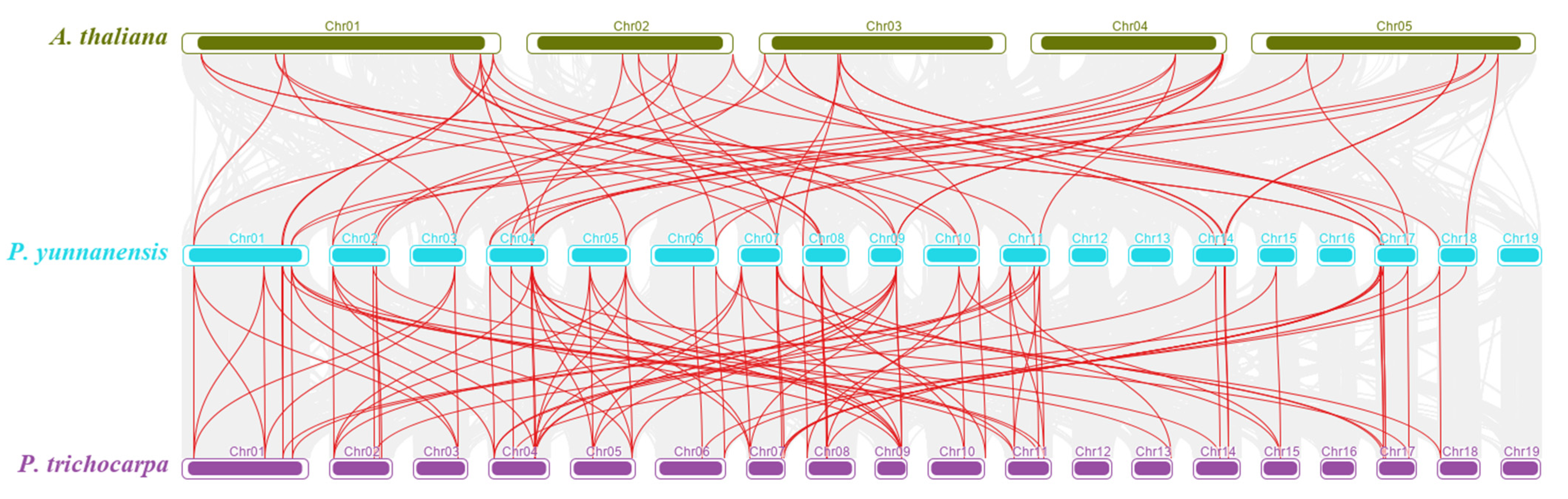 Genes 13 01811 g005 Genes 13 01811 g005