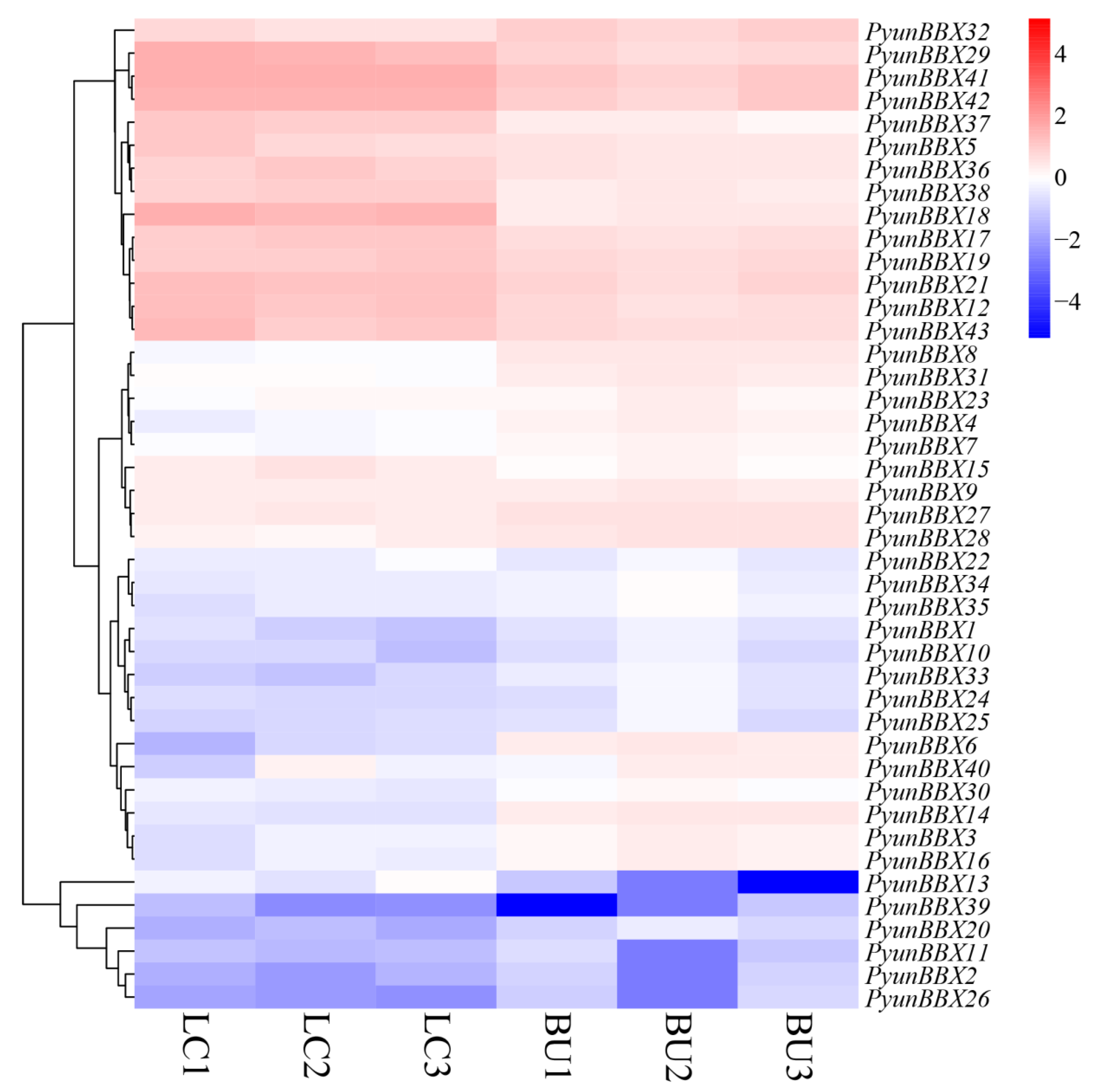 Genes 13 01811 g007 Genes 13 01811 g007