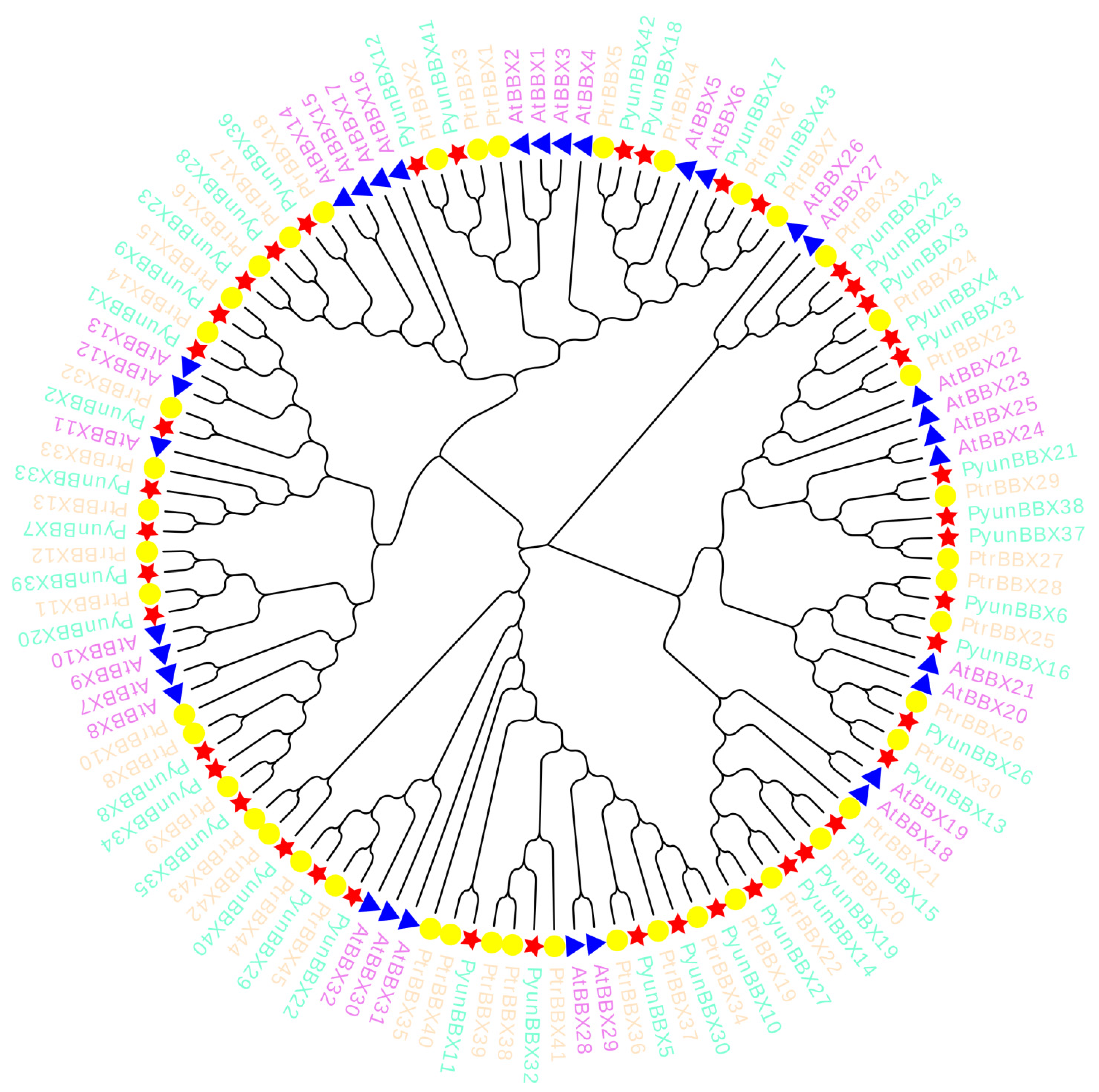 Genes 13 01811 g009 Genes 13 01811 g009