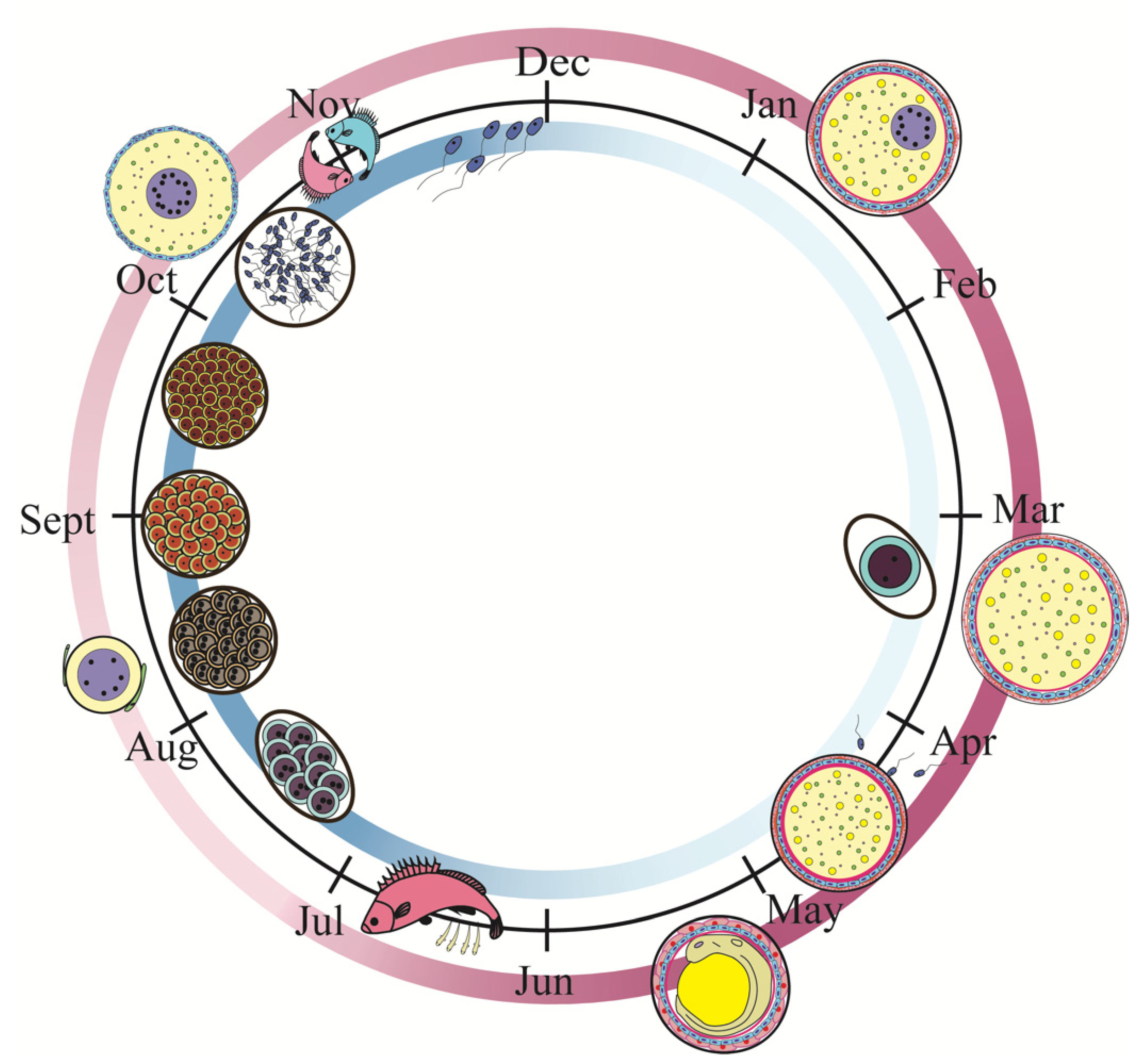 Genes 13 01812 g001 Genes 13 01812 g001