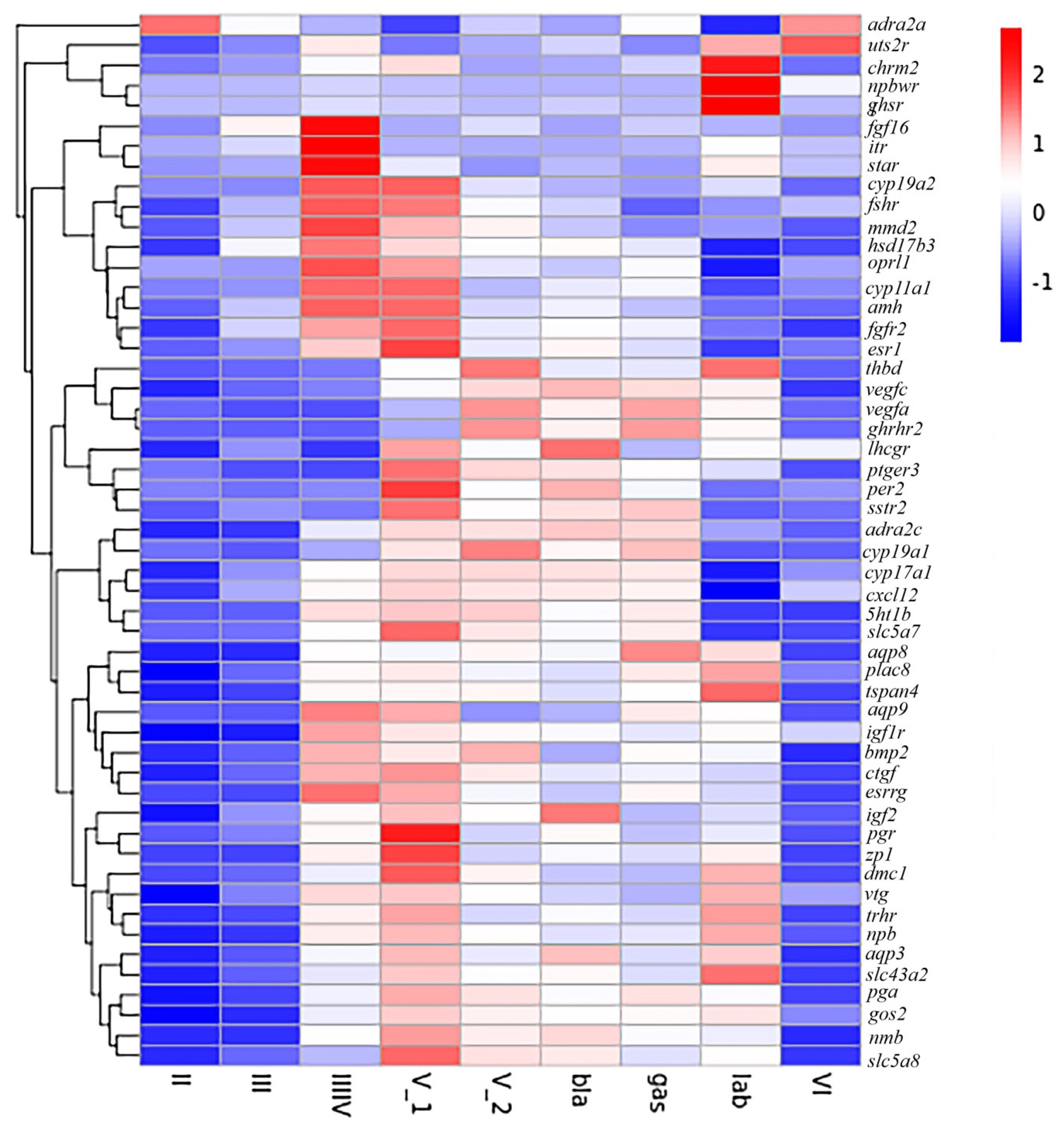 Genes 13 01812 g004 Genes 13 01812 g004