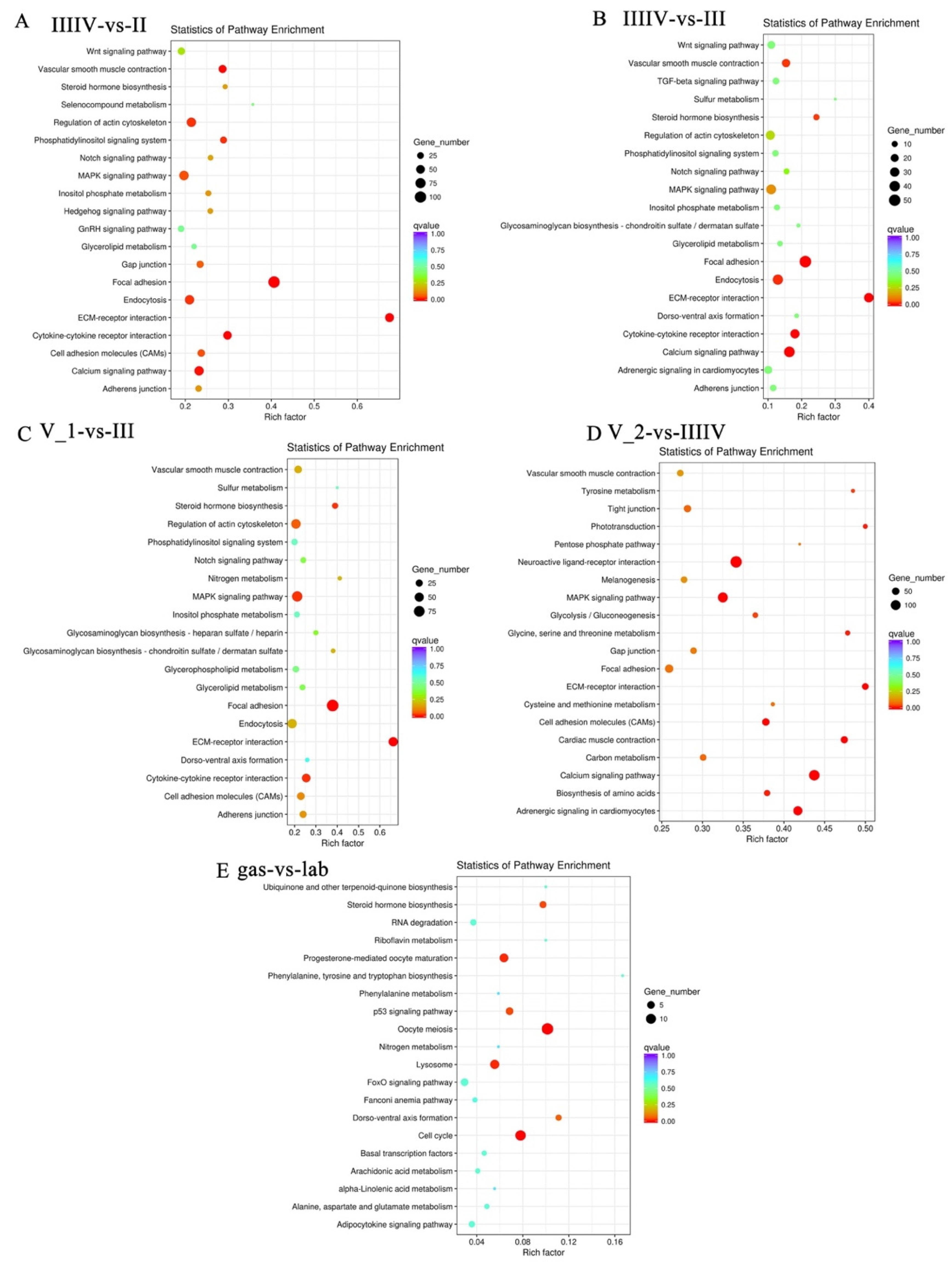 Genes 13 01812 g006 Genes 13 01812 g006