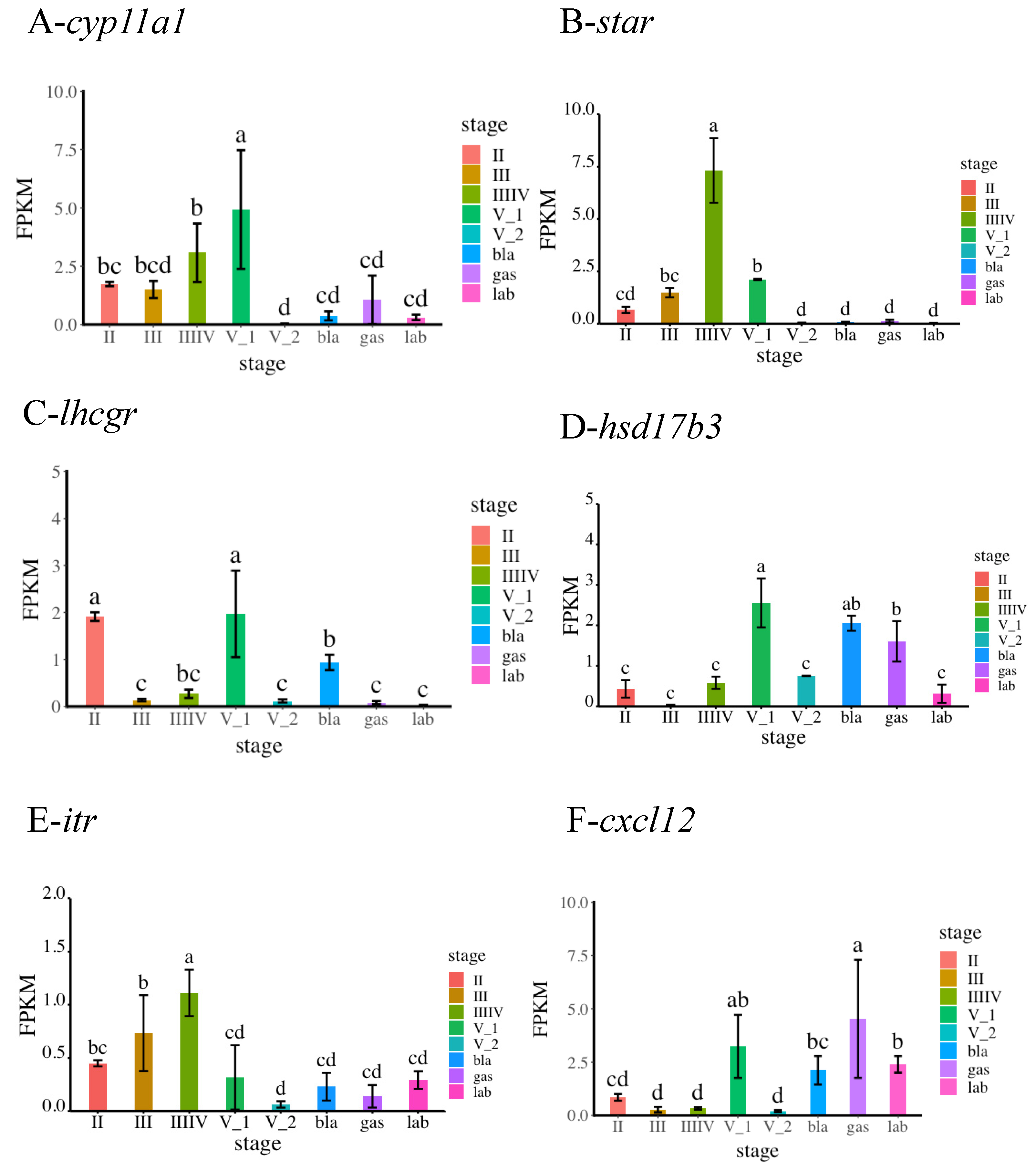 Genes 13 01812 g007 Genes 13 01812 g007