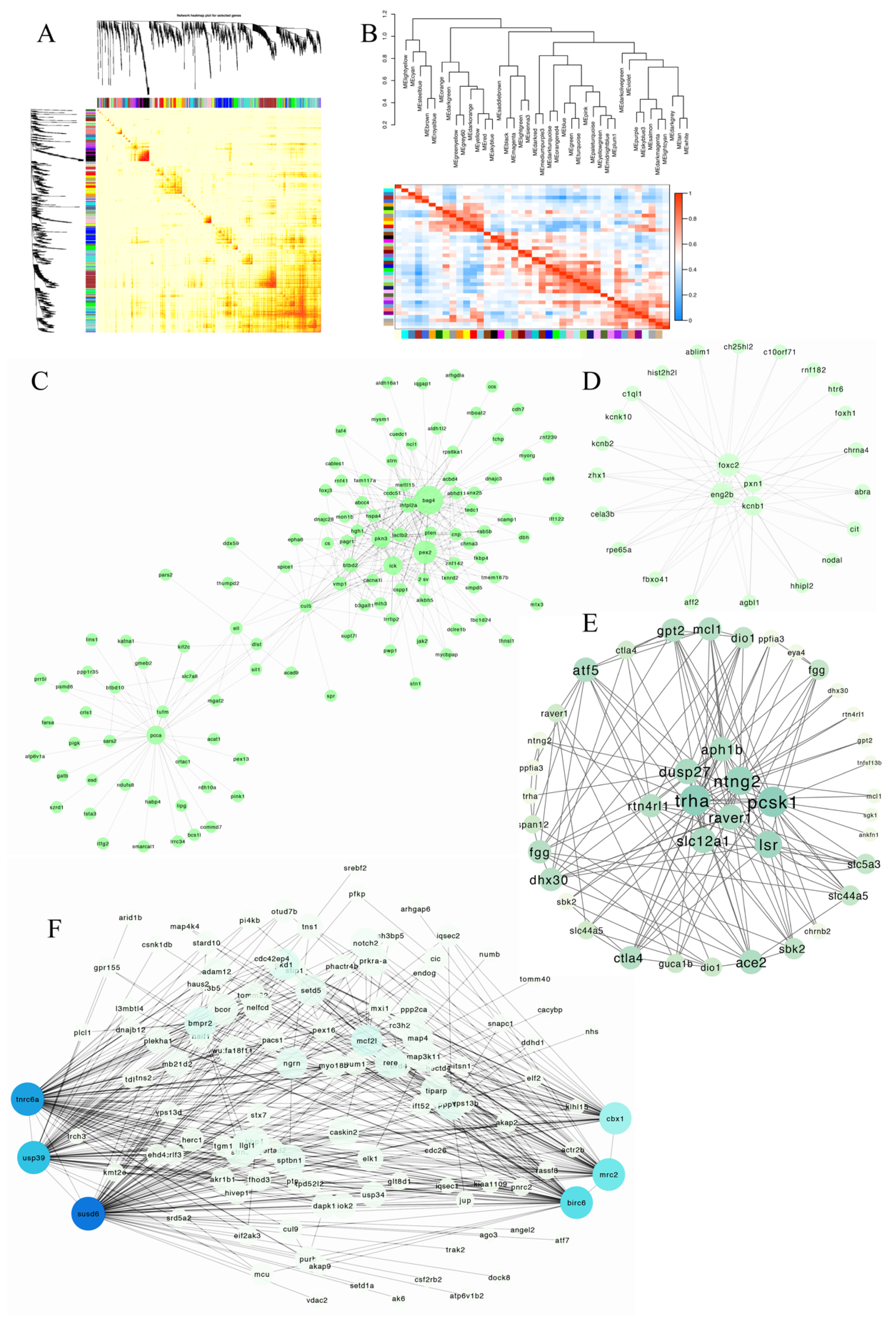 Genes 13 01812 g008 Genes 13 01812 g008