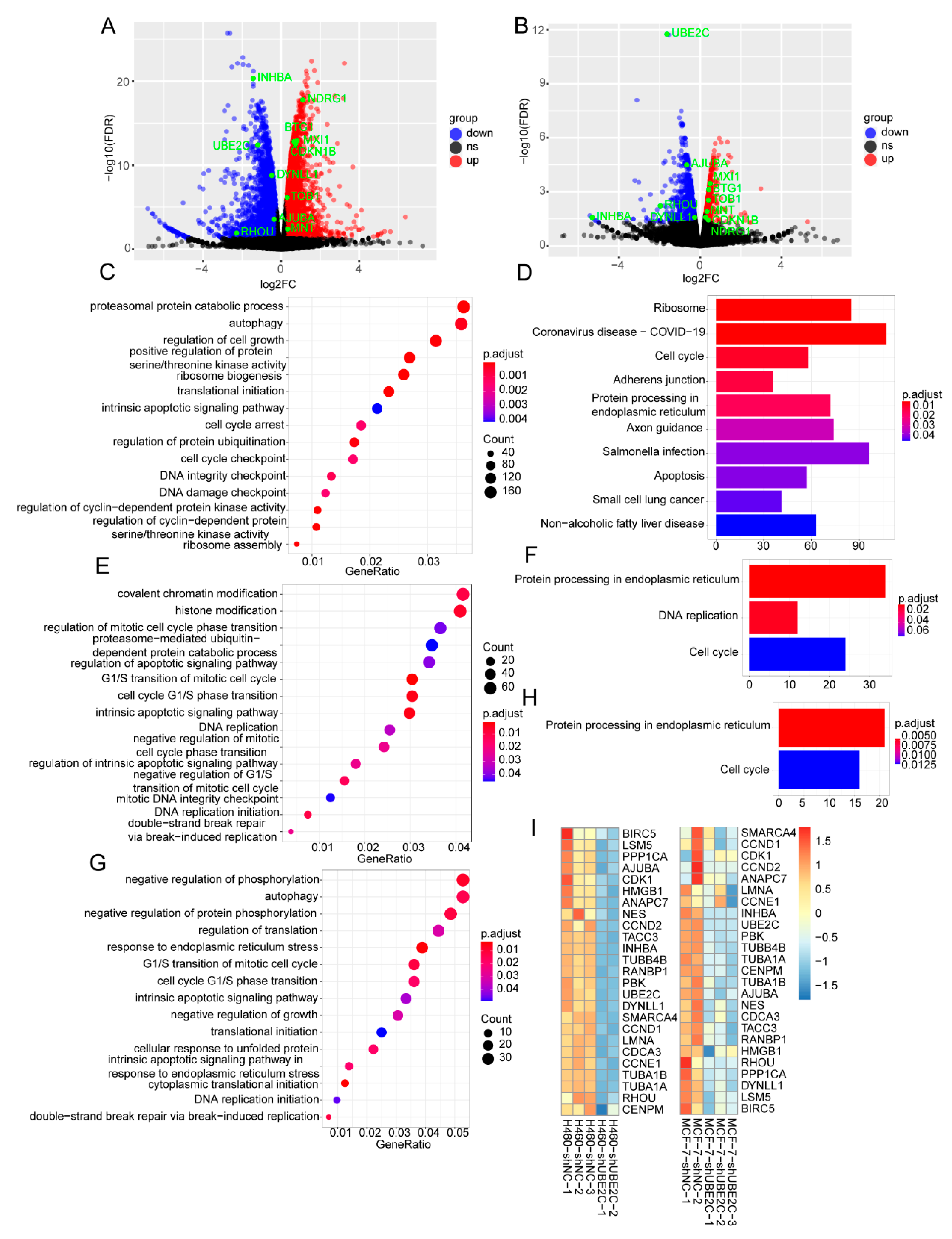 Genes 13 01817 g007 Genes 13 01817 g007