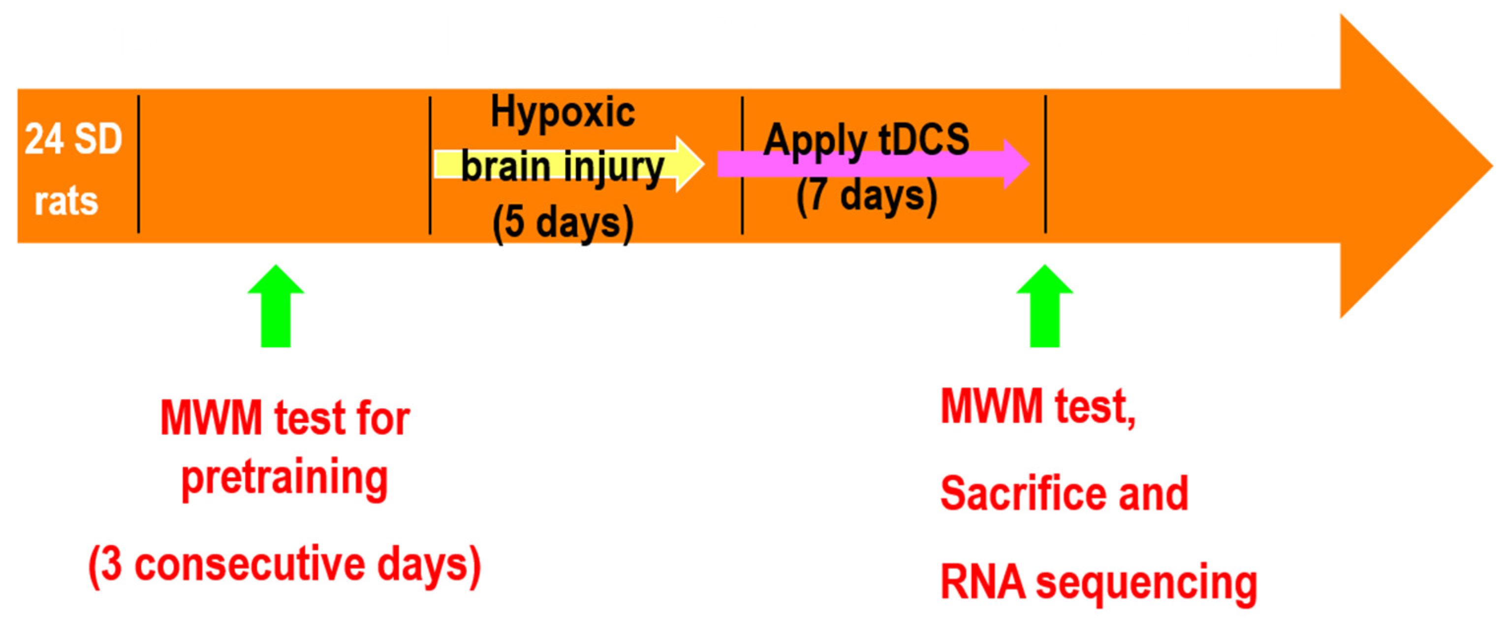 Genes 13 01824 g001 Genes 13 01824 g001