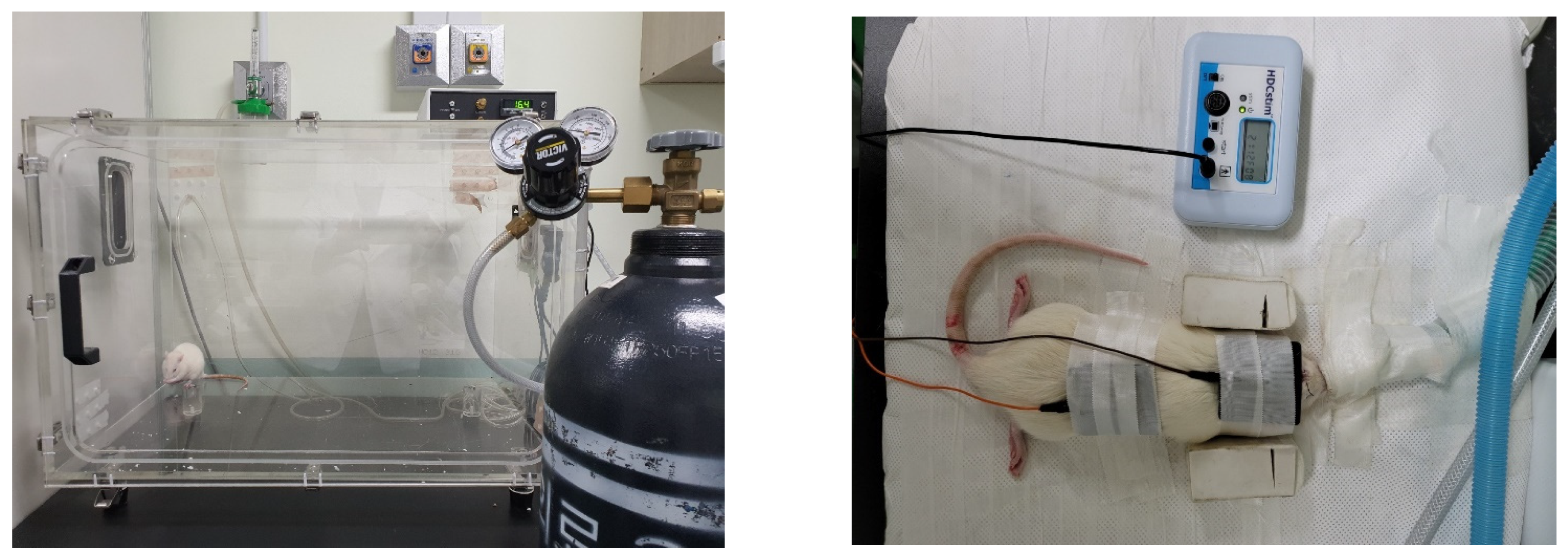 Genes 13 01824 g002 Genes 13 01824 g002