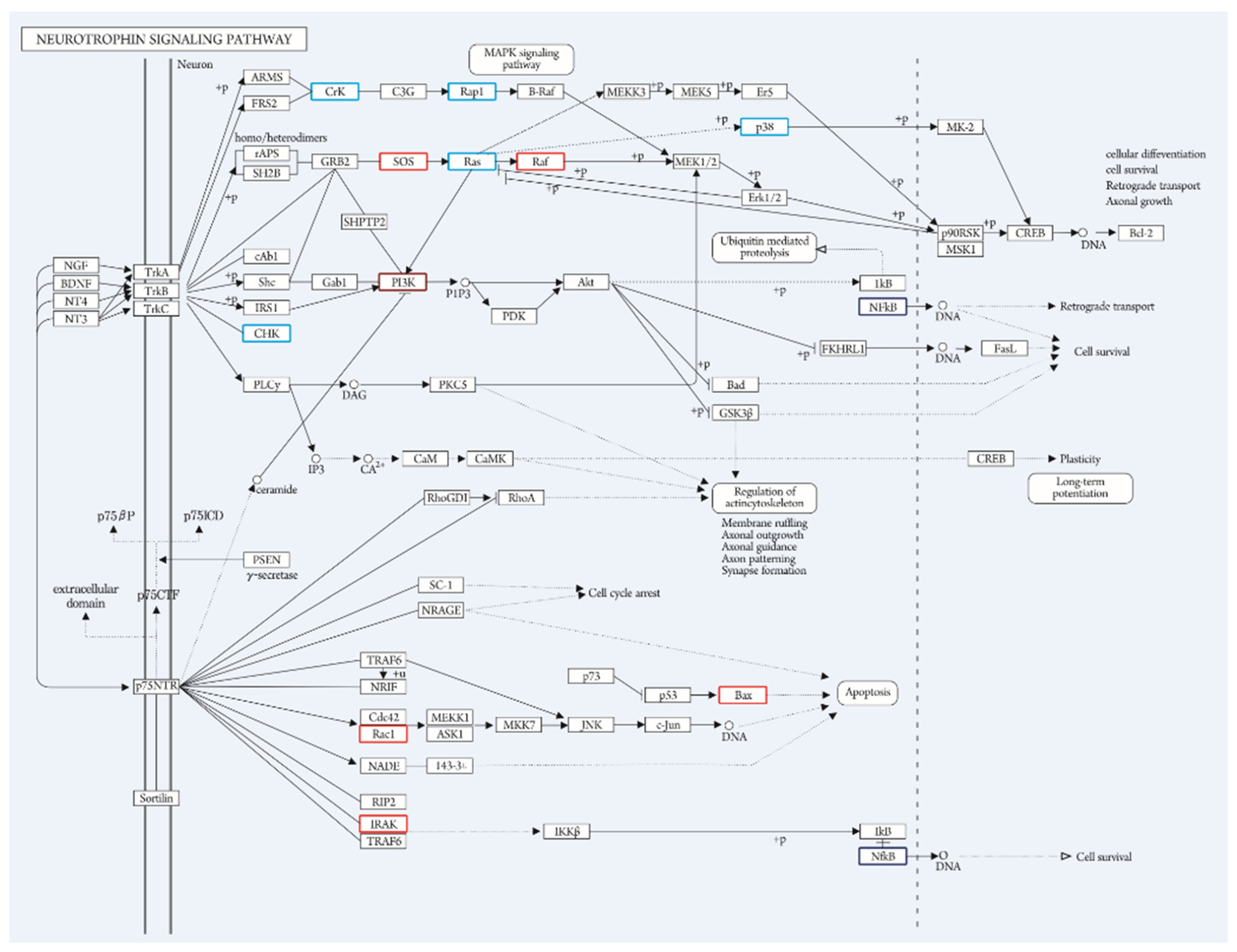 Genes 13 01824 g004 Genes 13 01824 g004