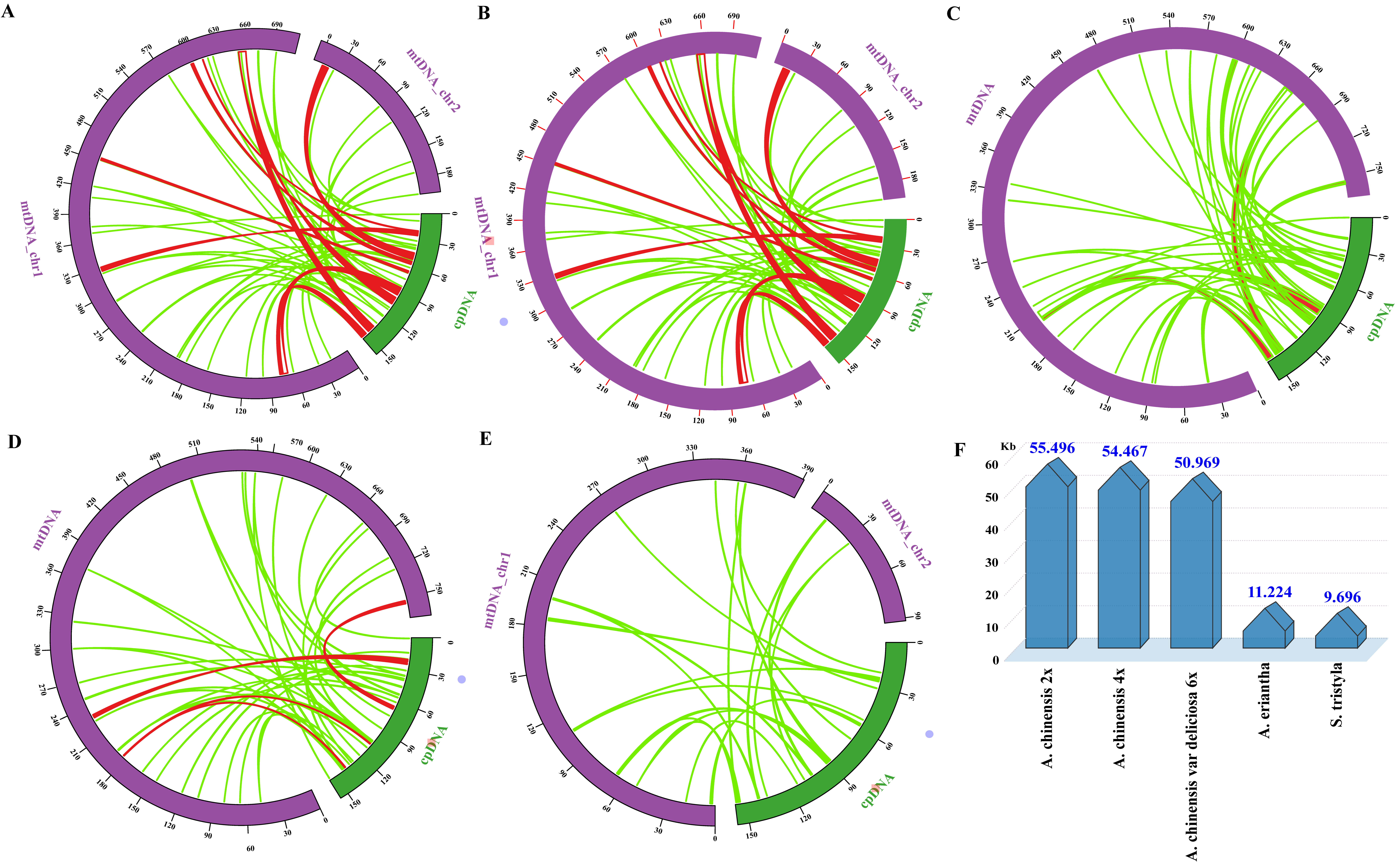 Genes 13 01827 g003
