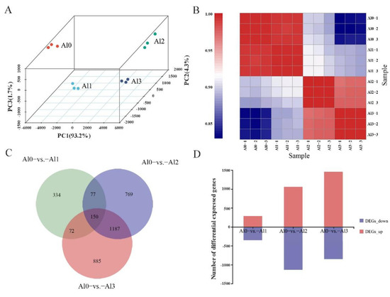 Transcriptomic Analysis Provides Insights into the