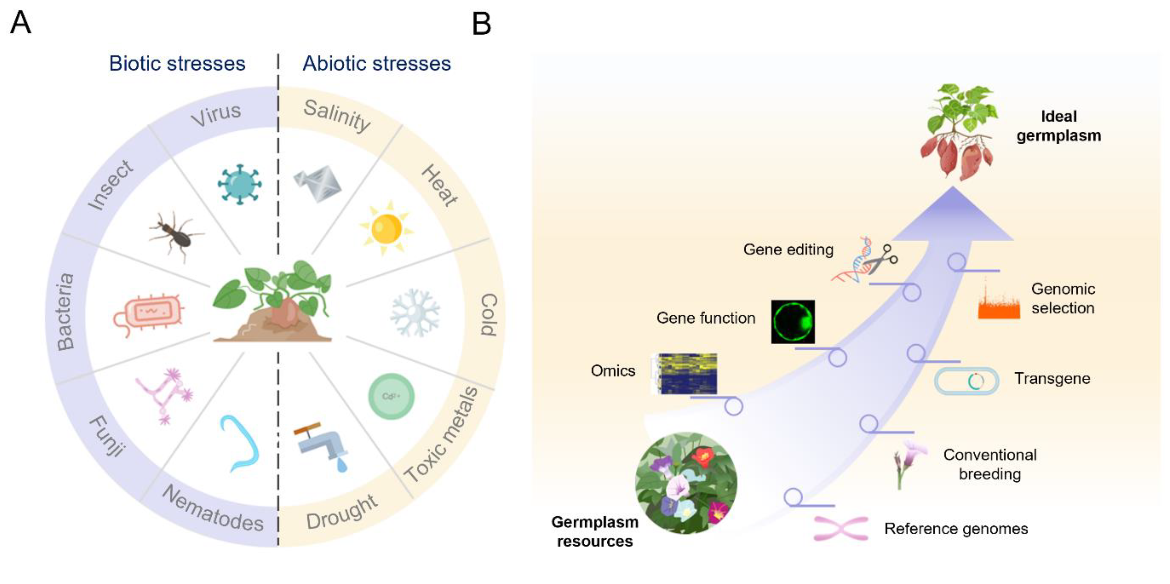 Genes 13 01833 g002 550